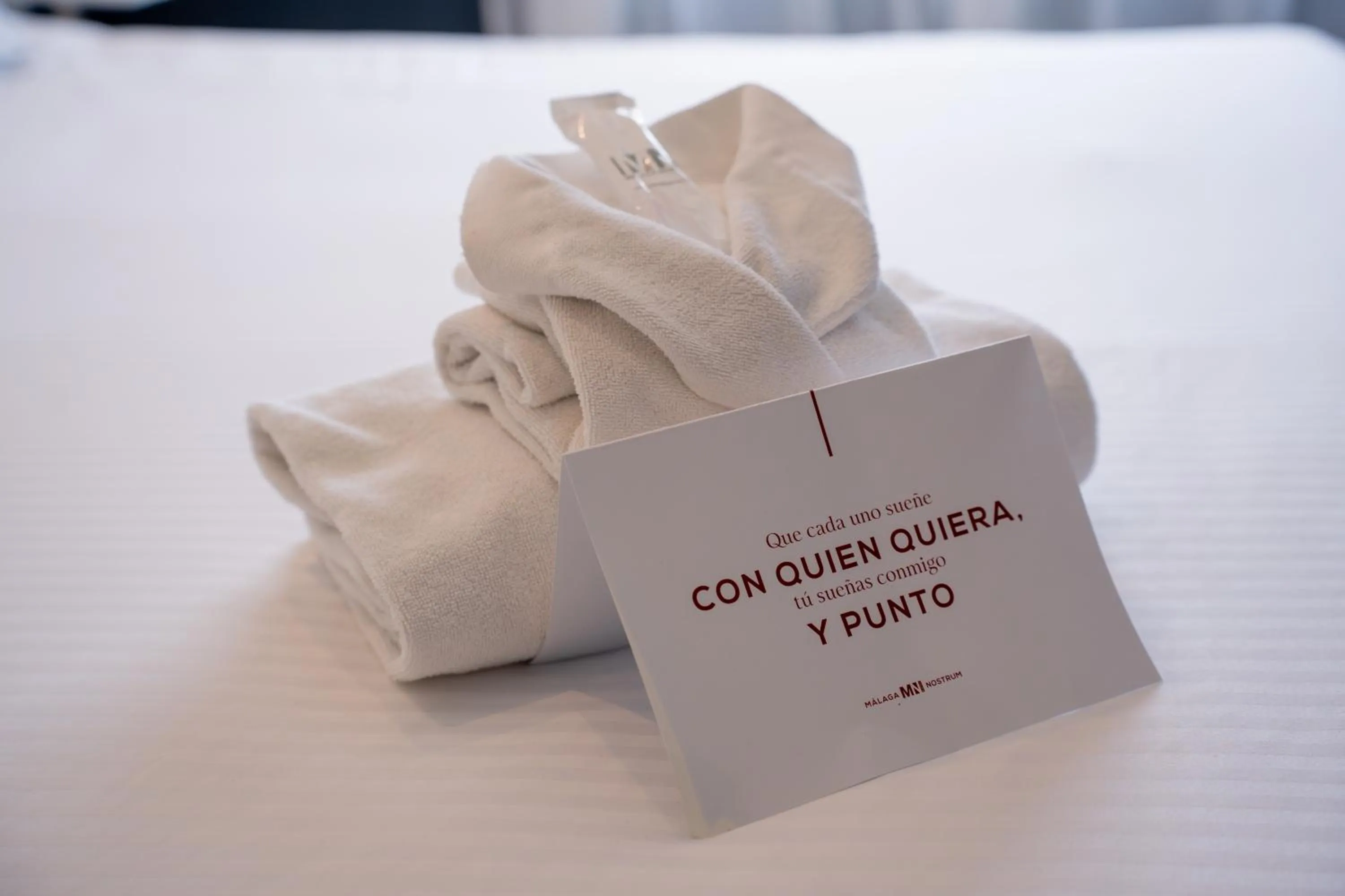 Hotel Málaga Nostrum Airport