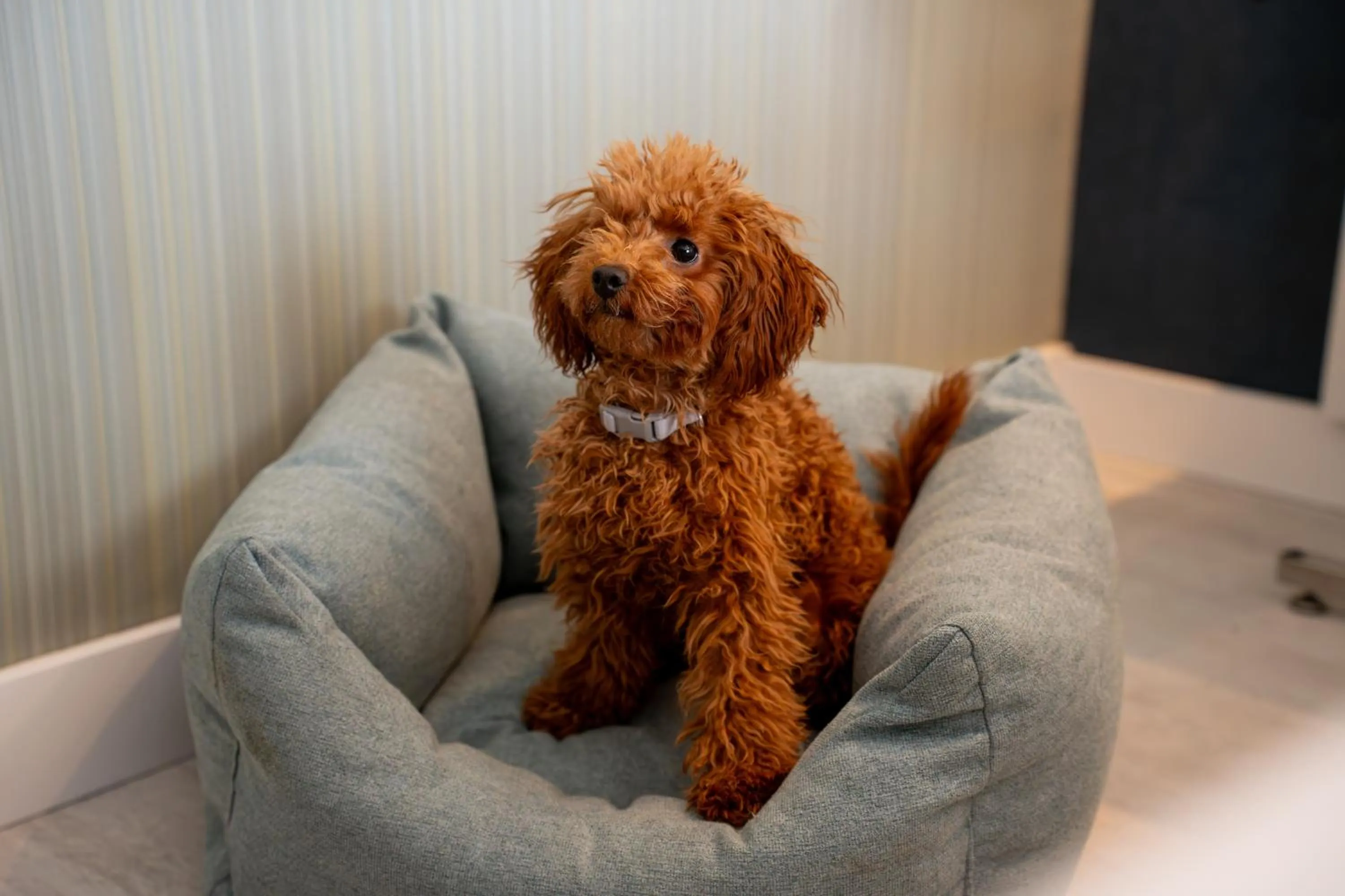 Hotel Málaga Nostrum Airport