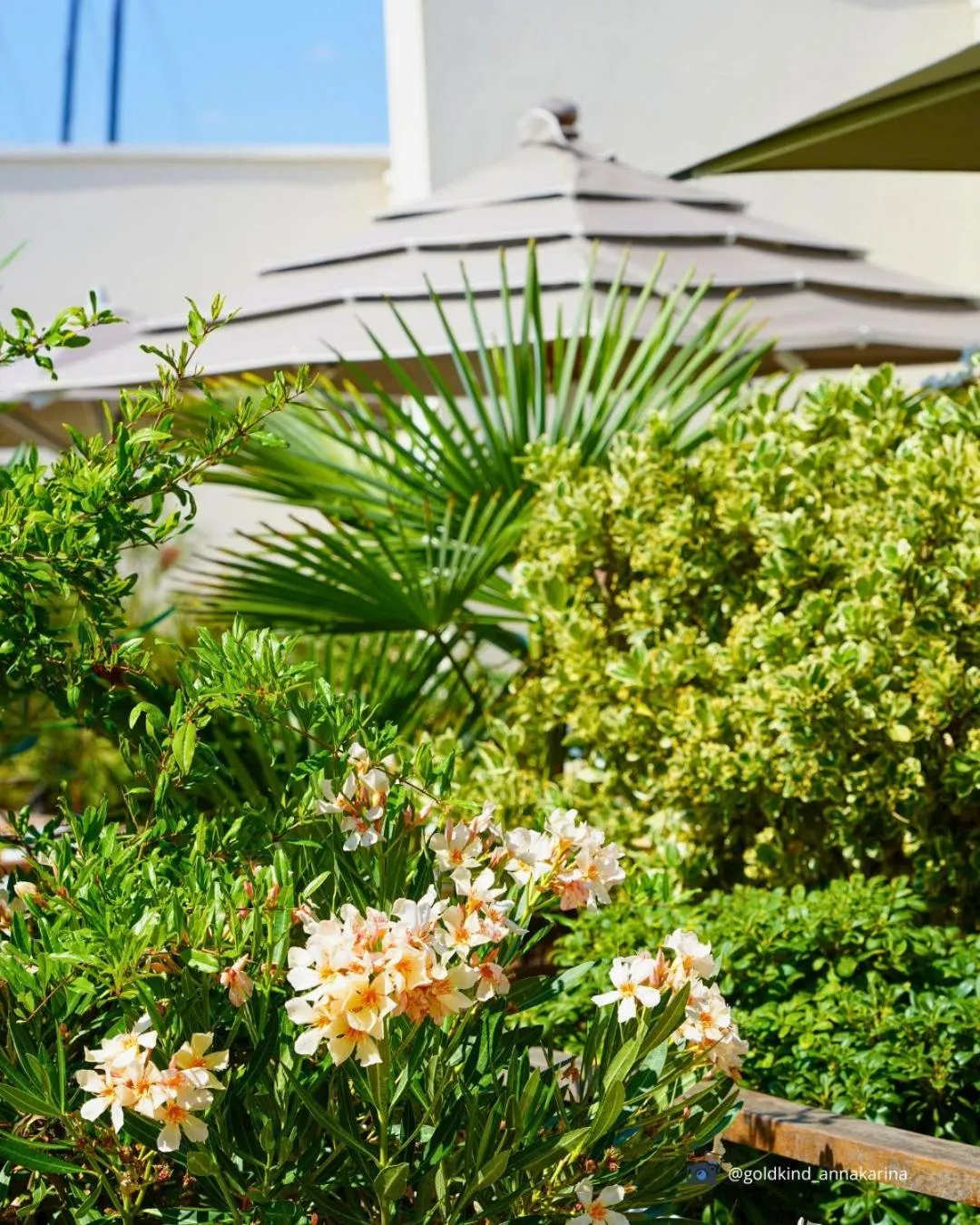 Property building in Marina di Scarlino Resort