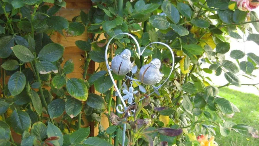 Property logo or sign in Honfleur à deux