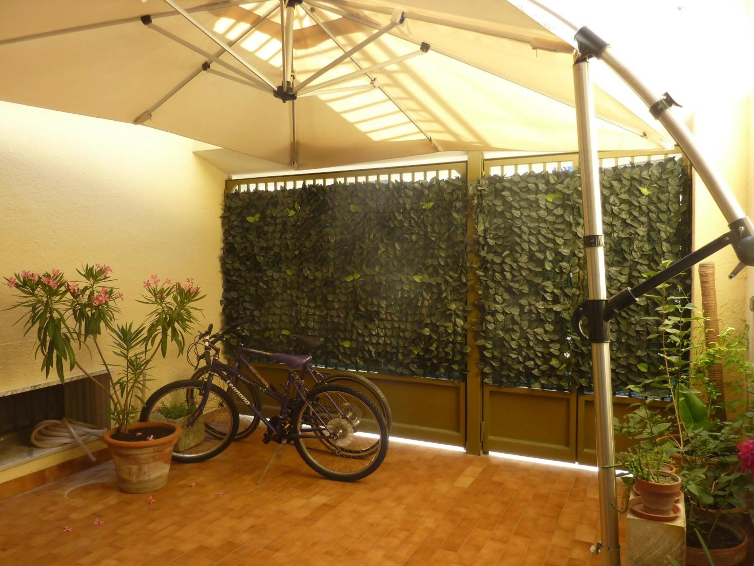 Lobby or reception in Life's Hotel B