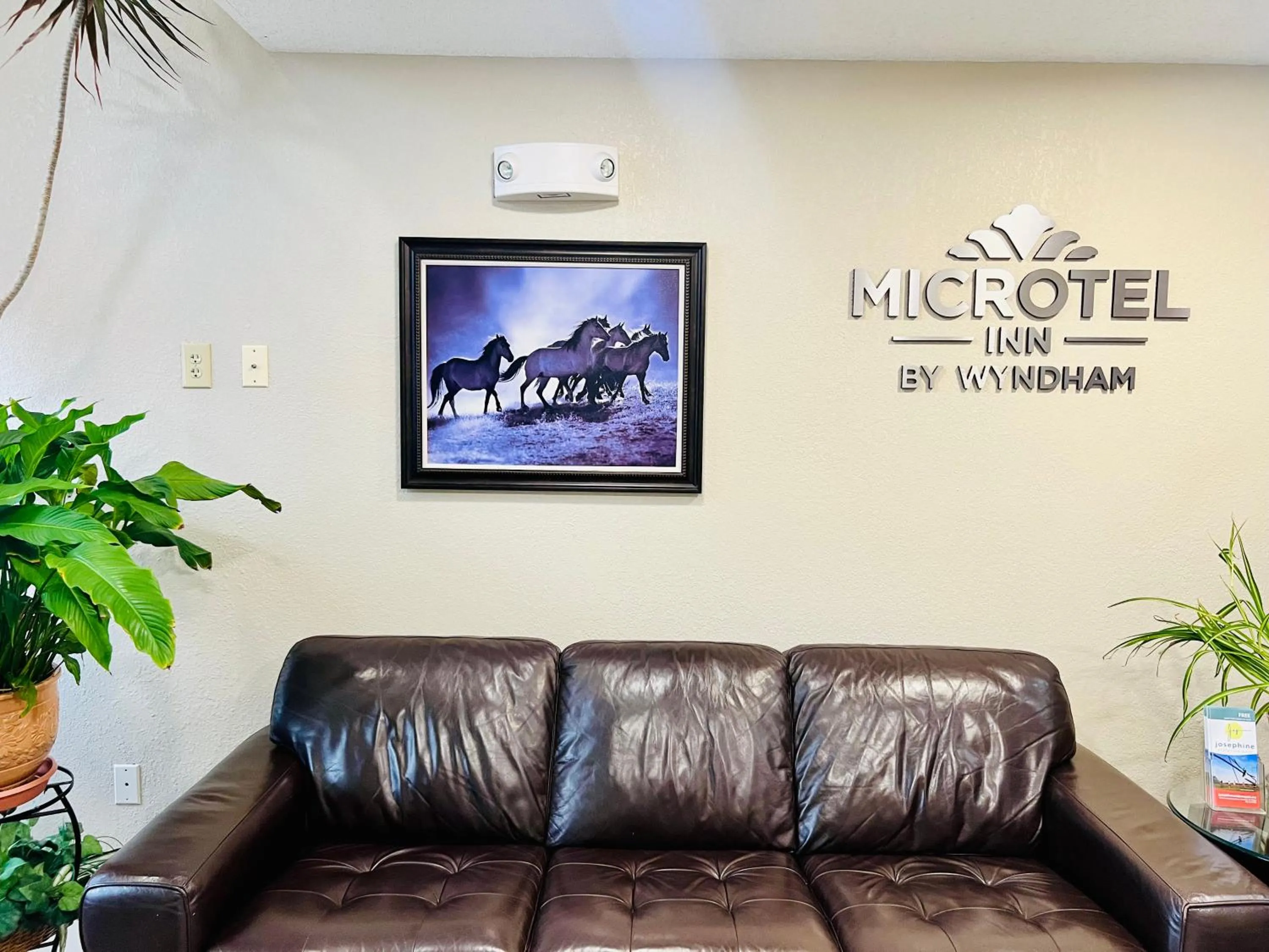 Lobby or reception in Microtel Inn Georgetown - Lexington North