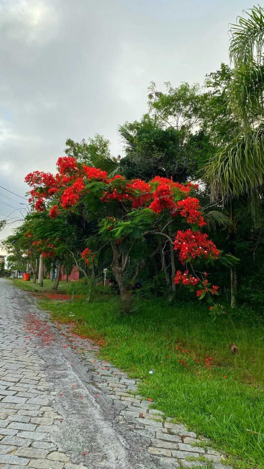 Ferradura Parque Pousada