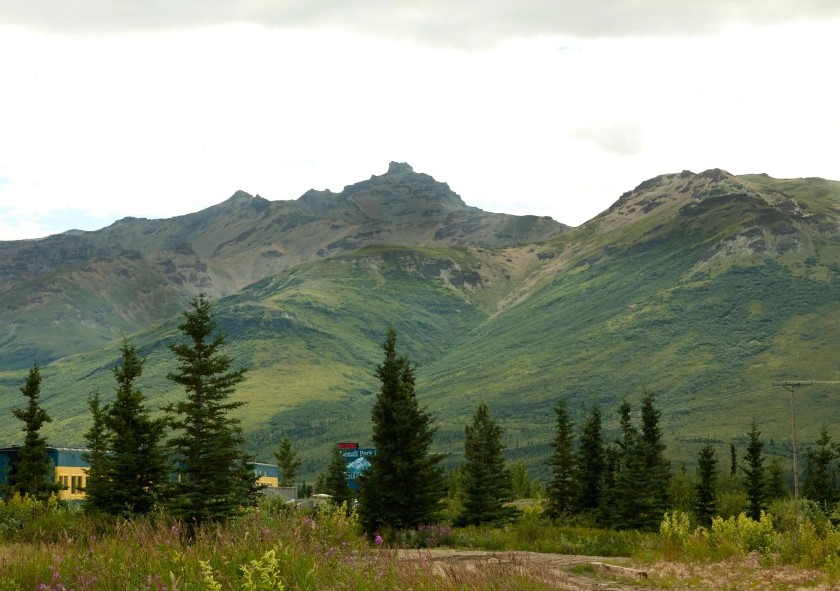 Mountain view in Denali Park Hotel