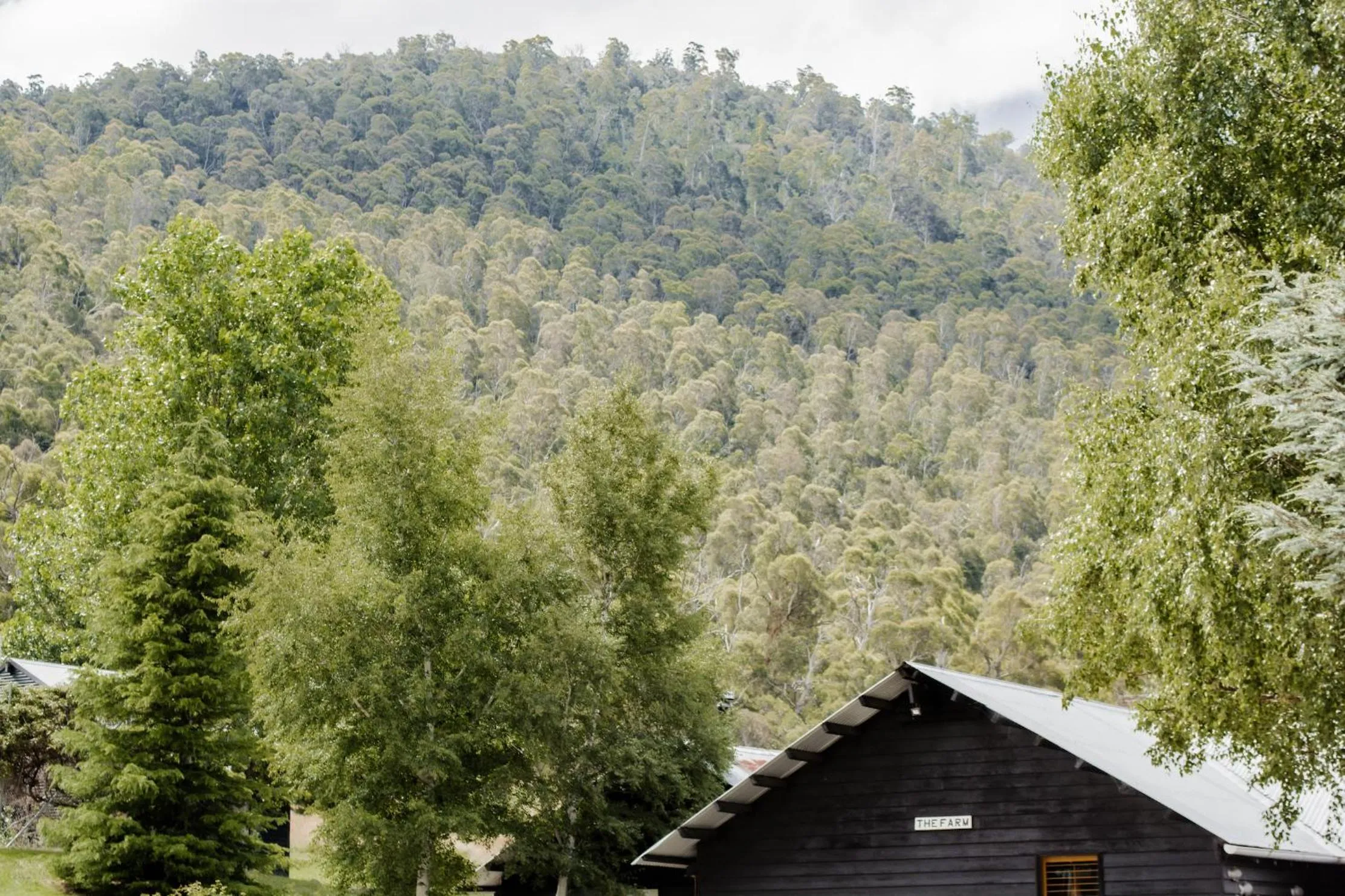 Crackenback Farm Guesthouse