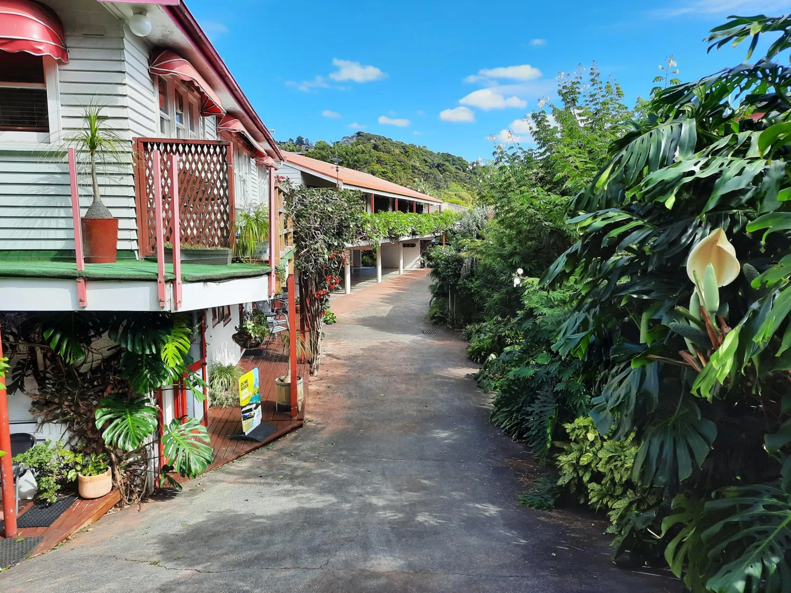 Garden view in Alfa Boutique Motel