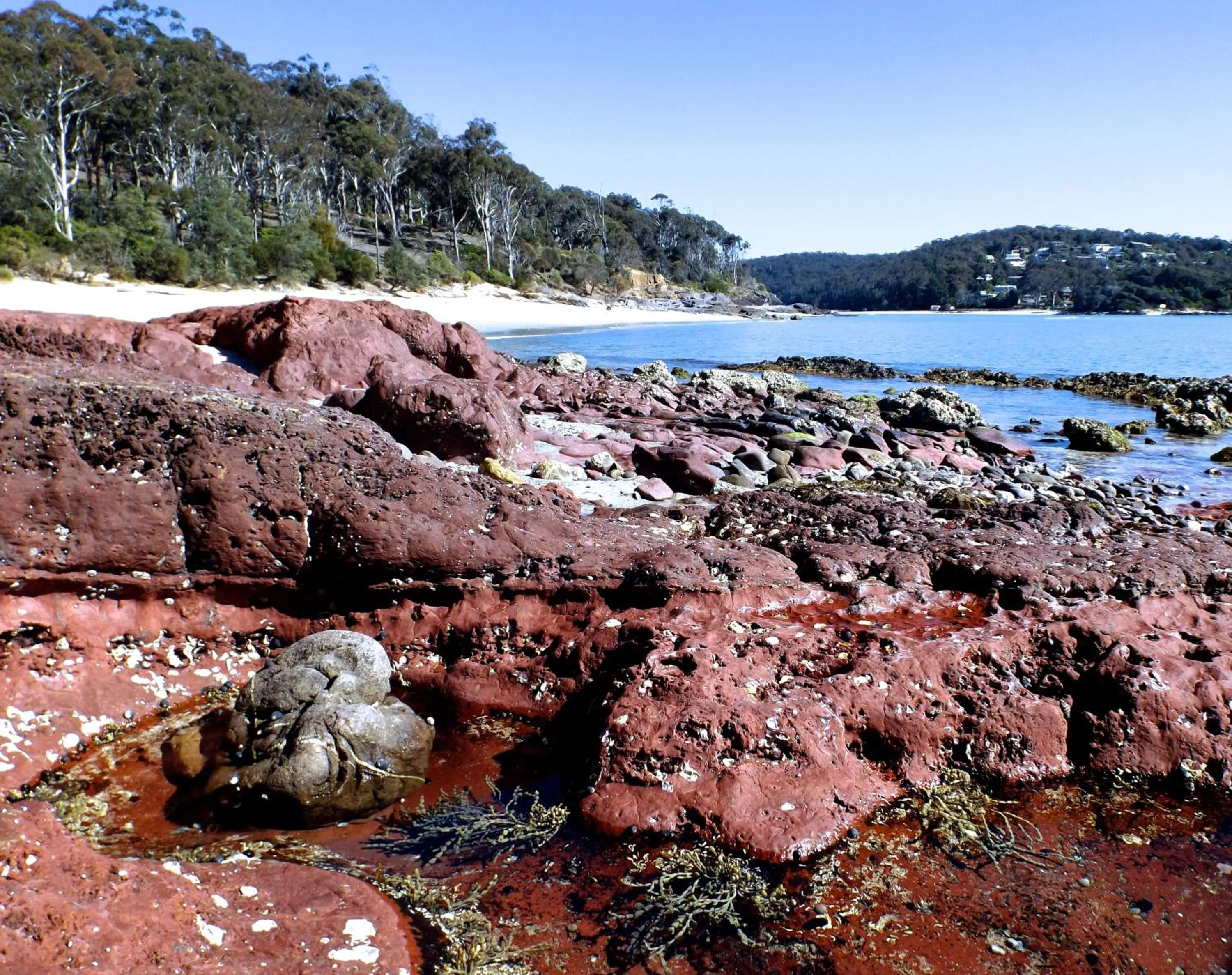 Nearby landmark in Surfside Merimbula Holiday Apartments