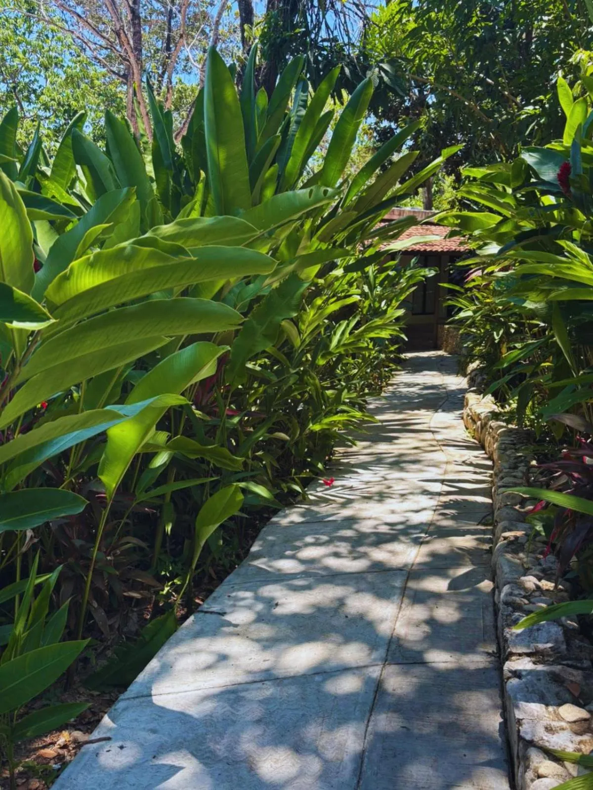 Garden in Hotel La Aldea del Halach Huinic