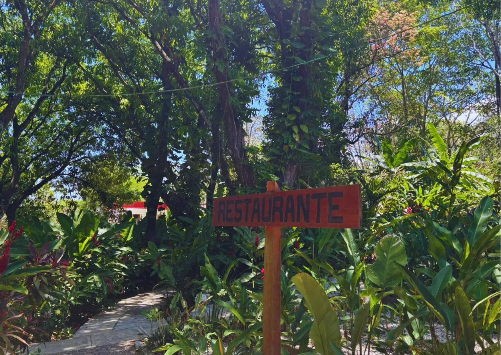 Restaurant/places to eat in Hotel La Aldea del Halach Huinic