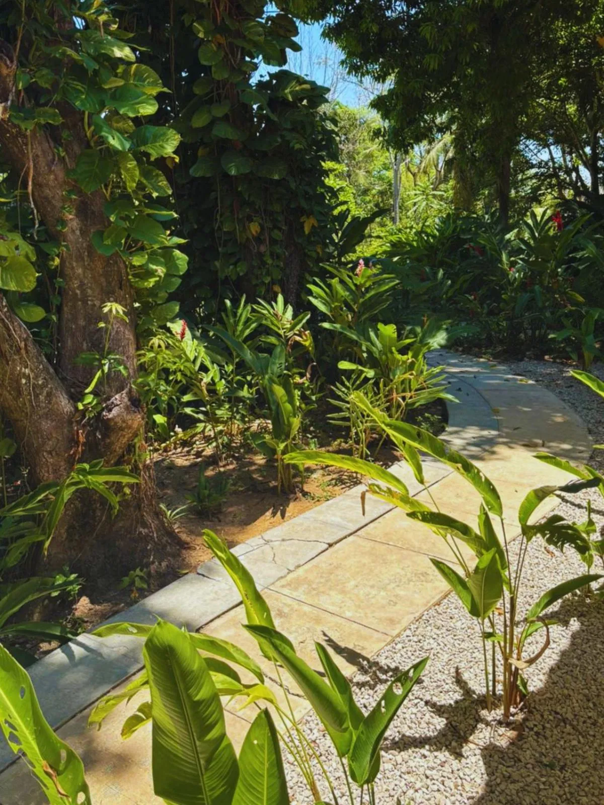 Garden in Hotel La Aldea del Halach Huinic