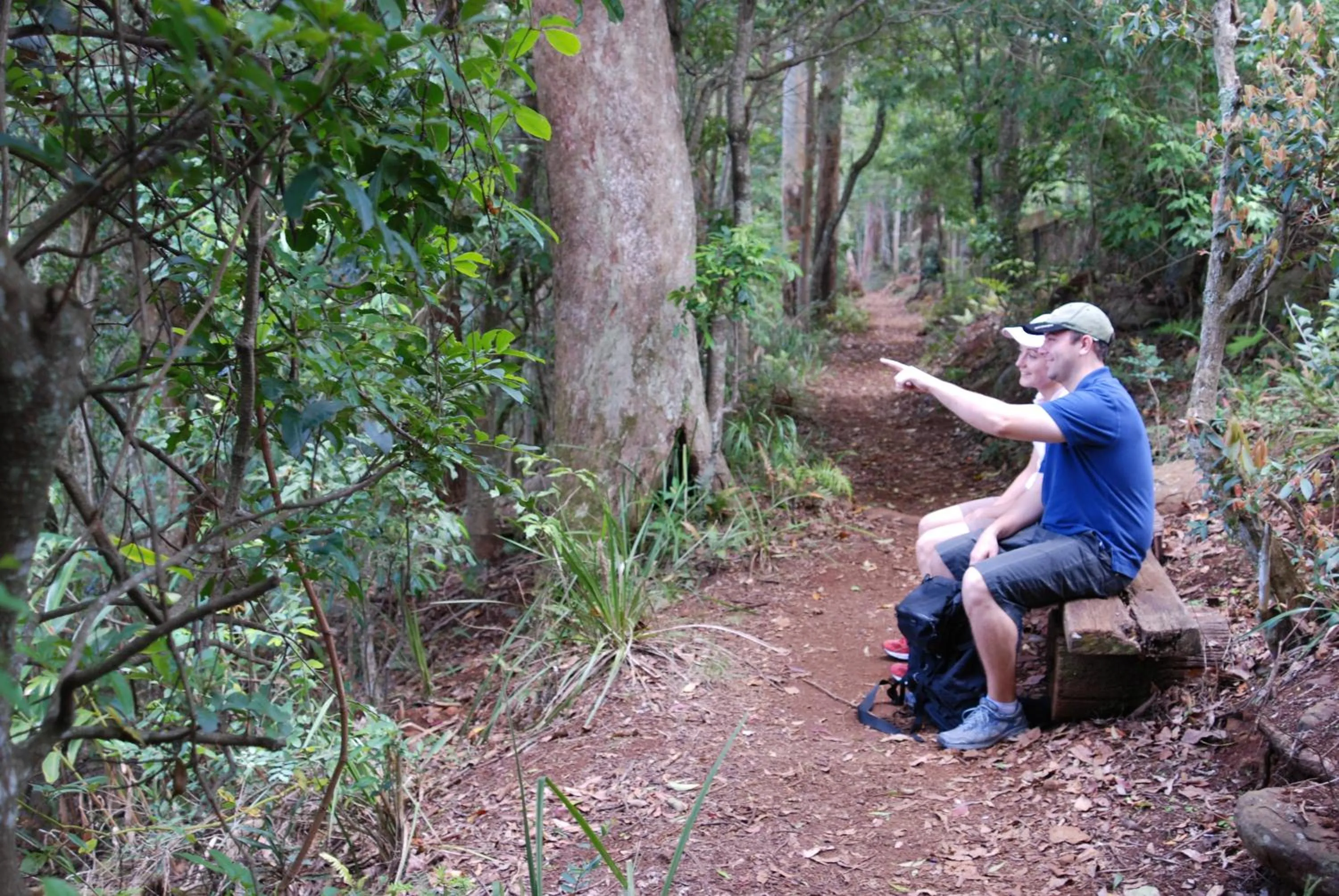 Area and facilities in Witches Falls Cottages
