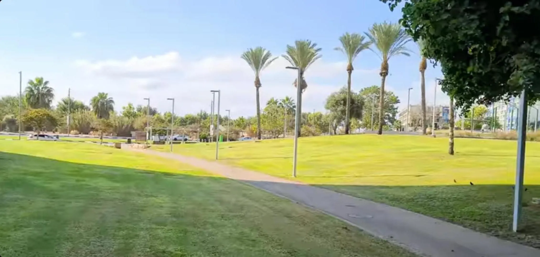 Activities in Apart Hotel TLV/Bat Yam Beach Front 1207
