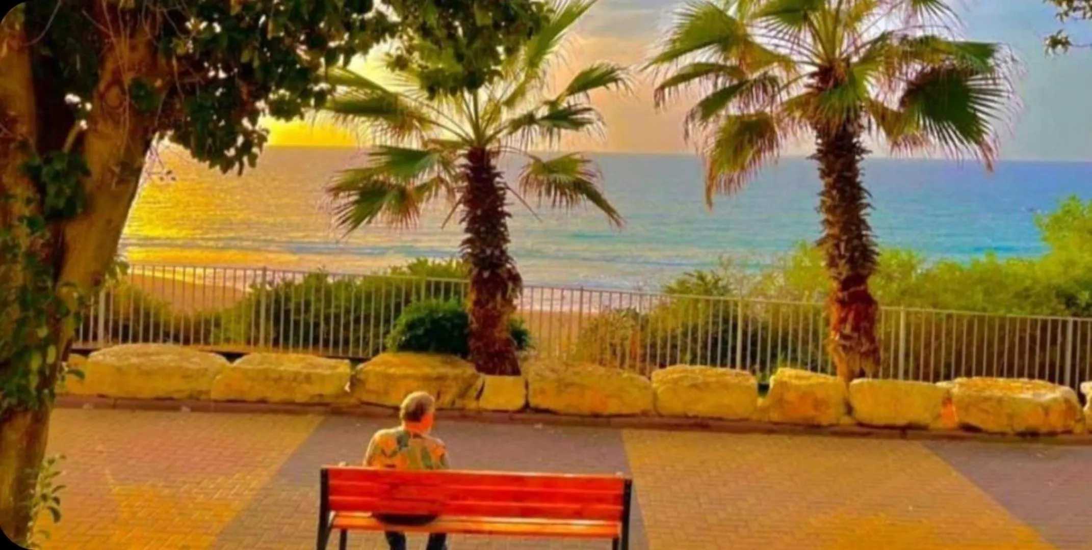 Patio in Apart Hotel TLV/Bat Yam Beach Front 1207