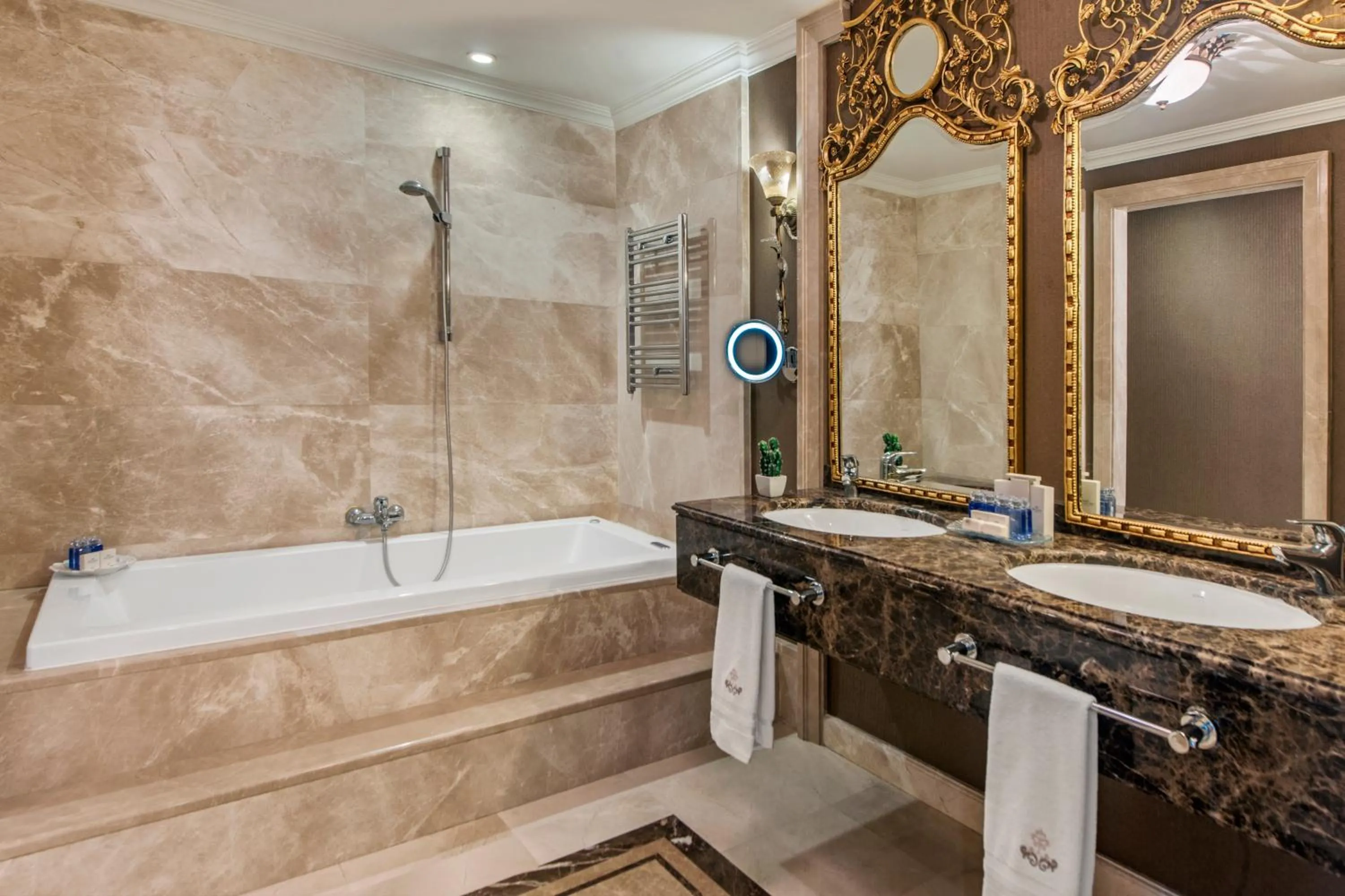 Bathroom in Elite World Van