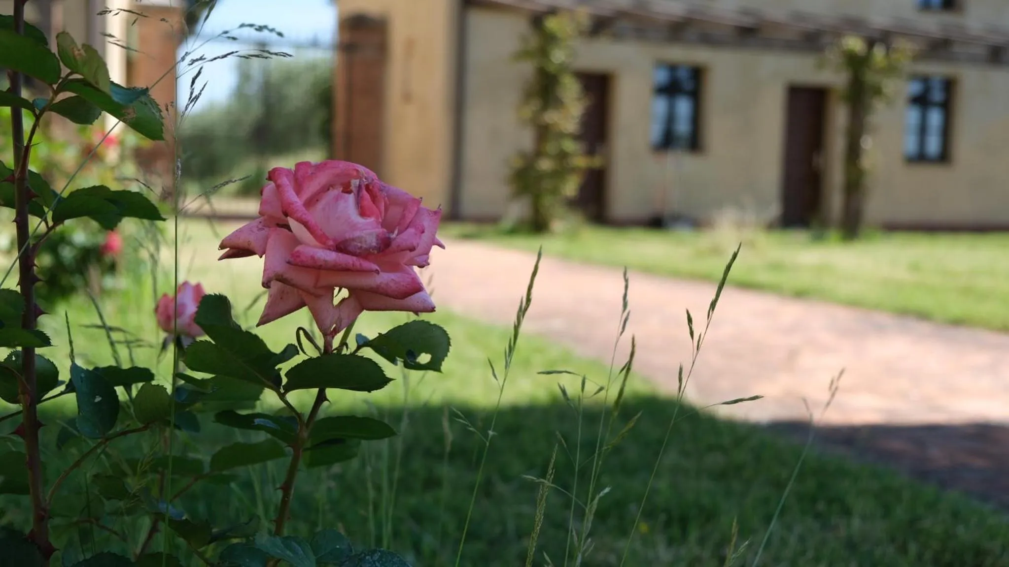 Time of day in Villa Brignole