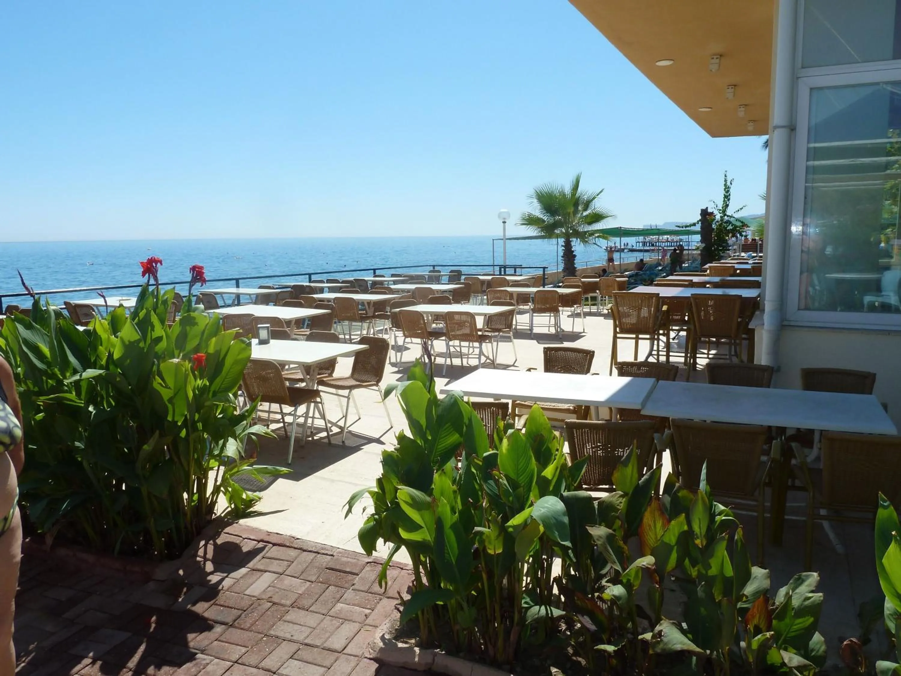 Restaurant/places to eat in Club Hotel Rama