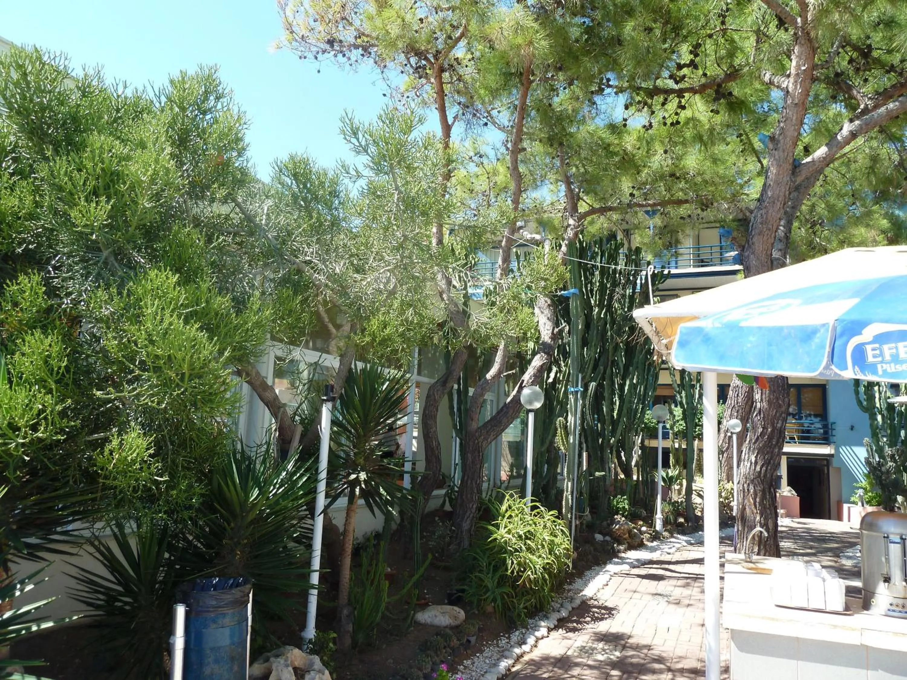 Garden in Club Hotel Rama