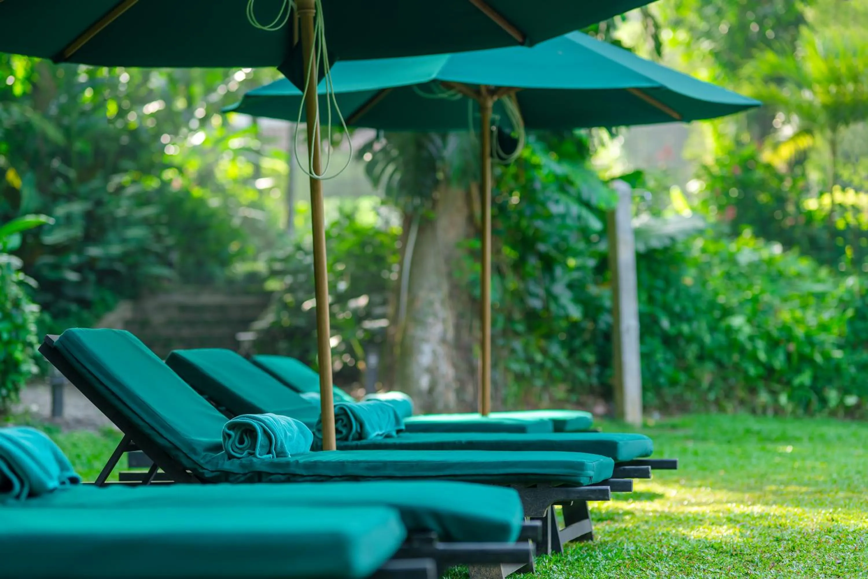 Swimming pool in Adigars Manor