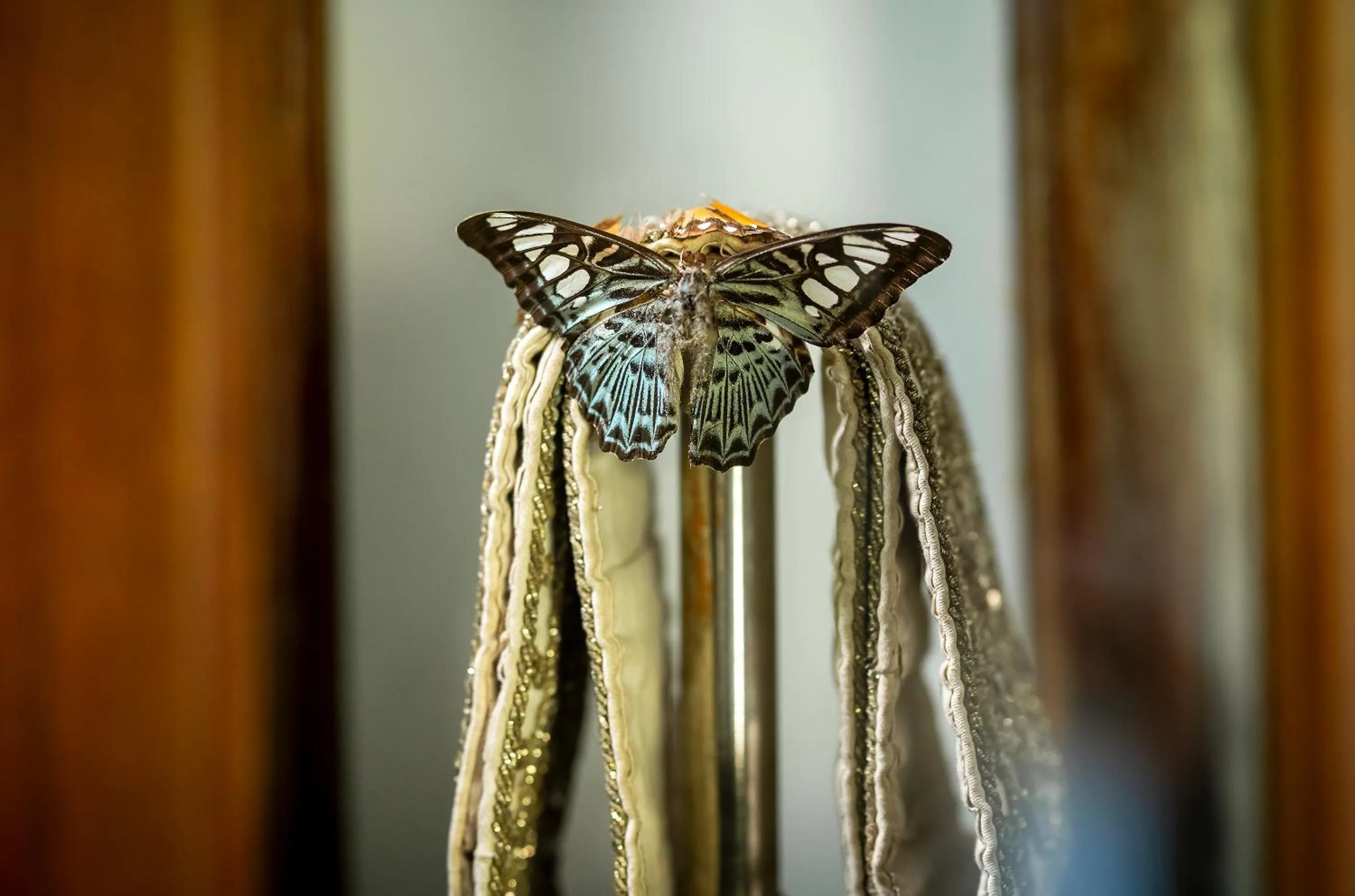 Decorative detail in Adigars Manor