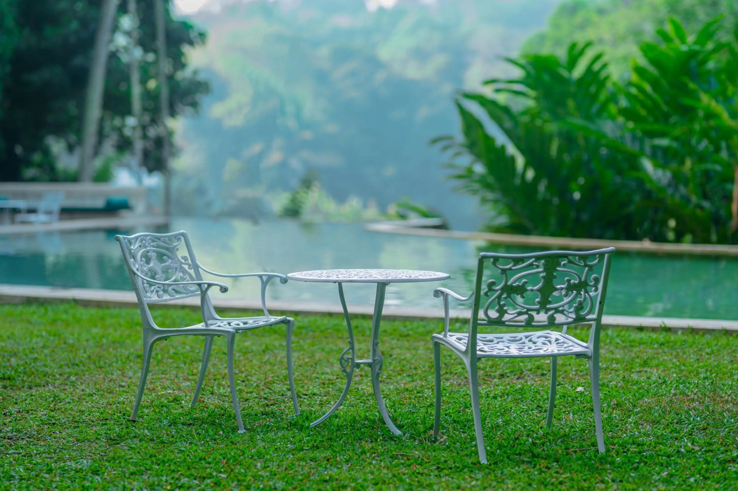 Swimming pool in Adigars Manor