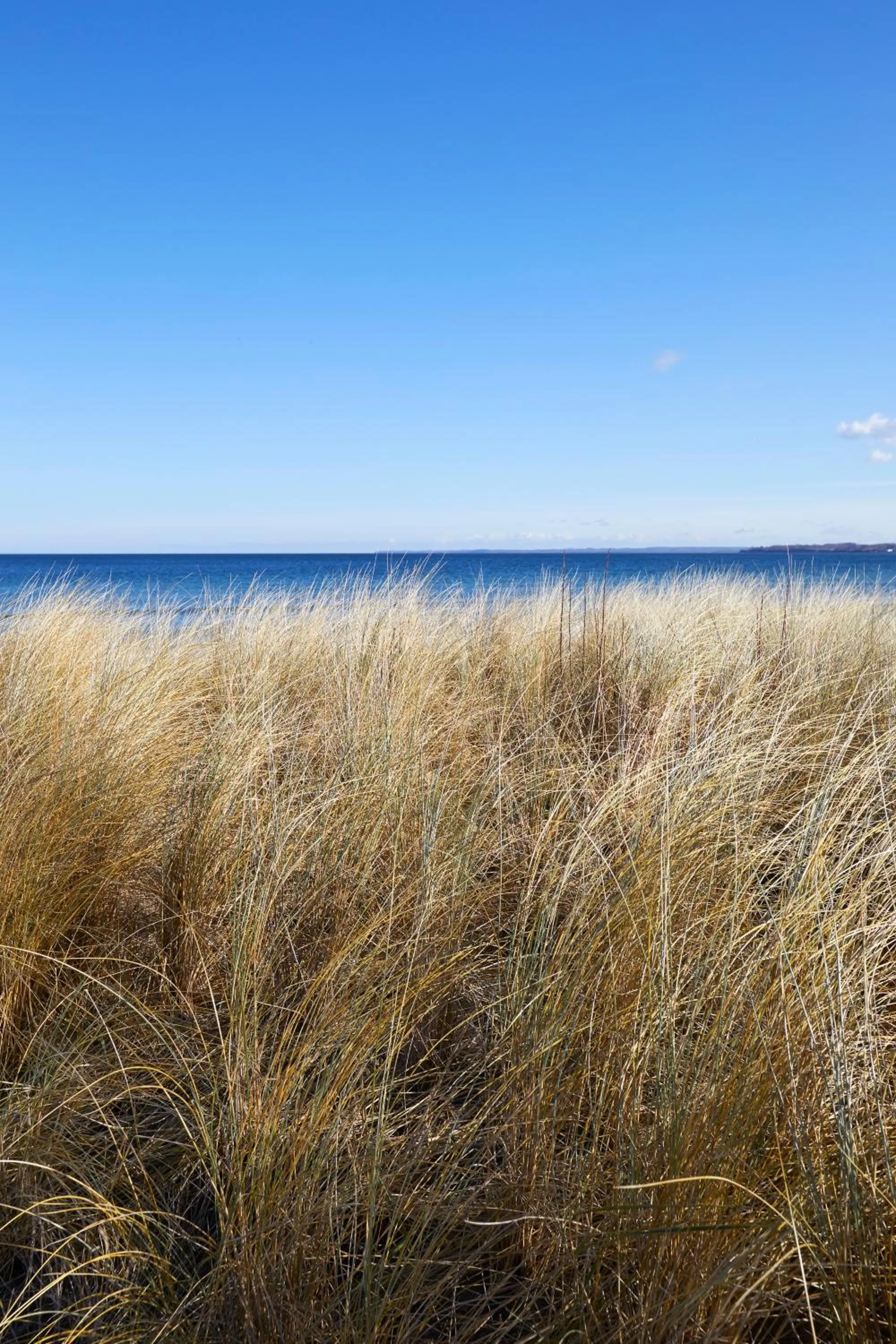 Beach in Strandhotel Fontana
