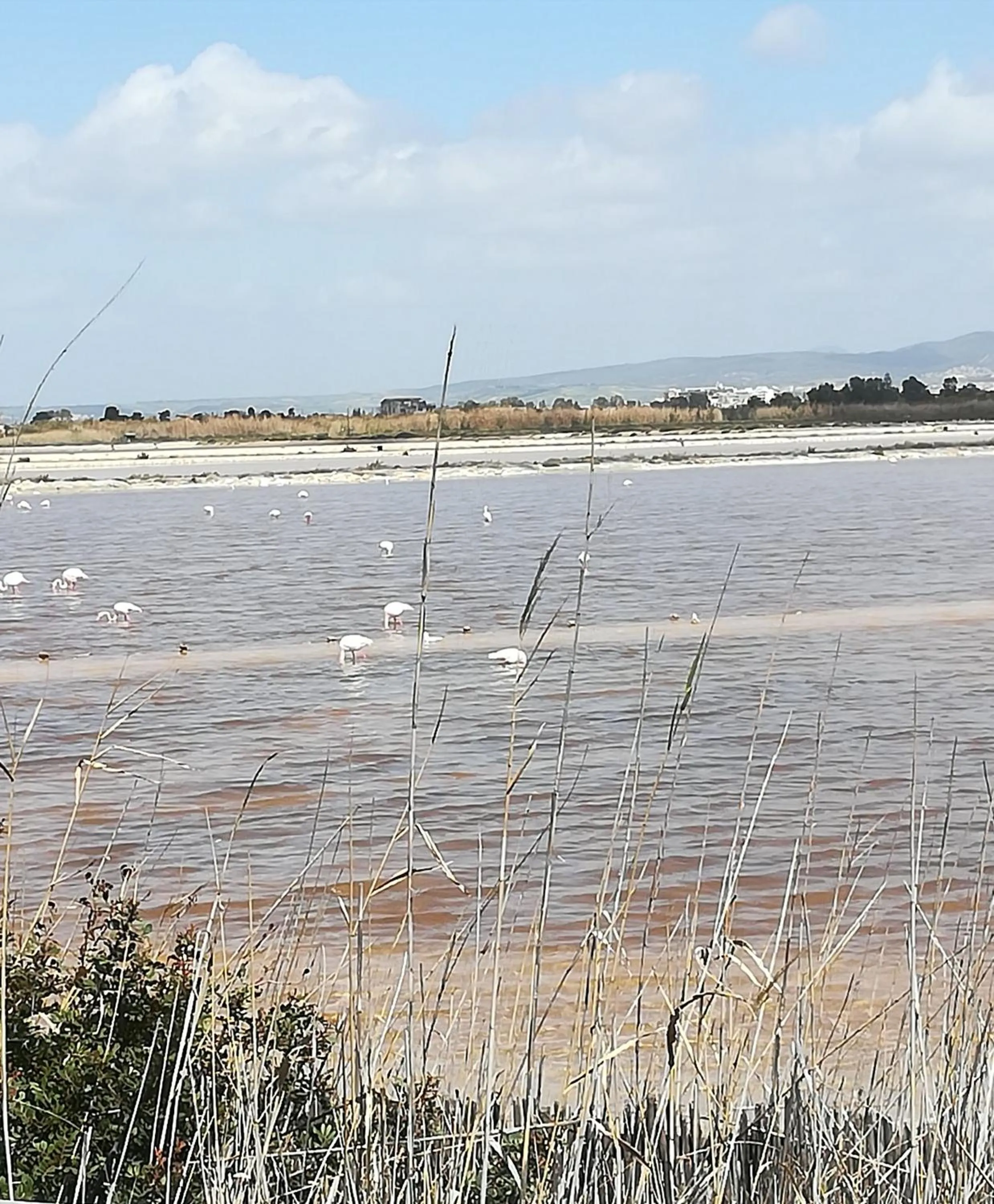 Natural landscape in Su Murdegu