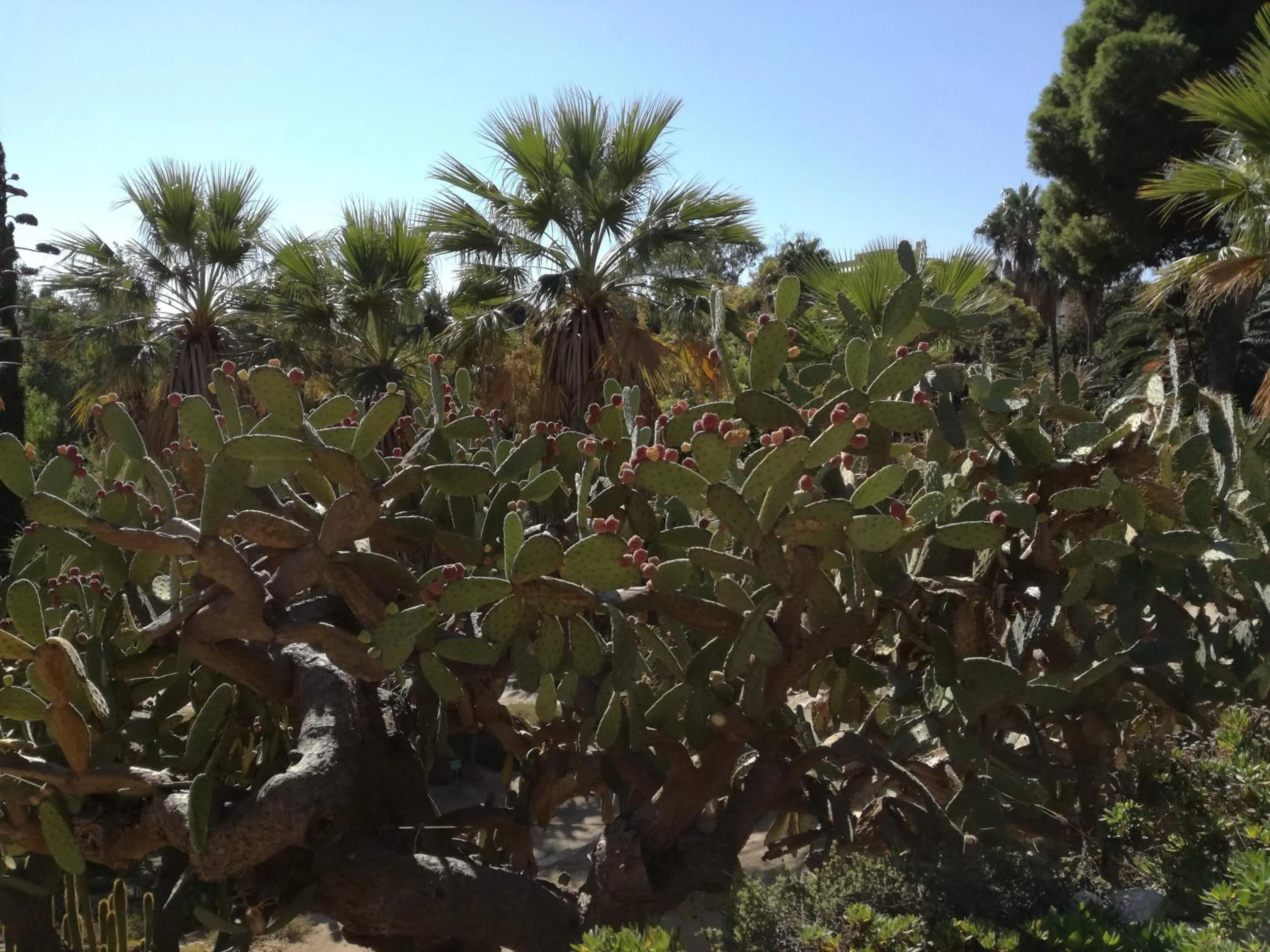 Nearby landmark in Su Murdegu