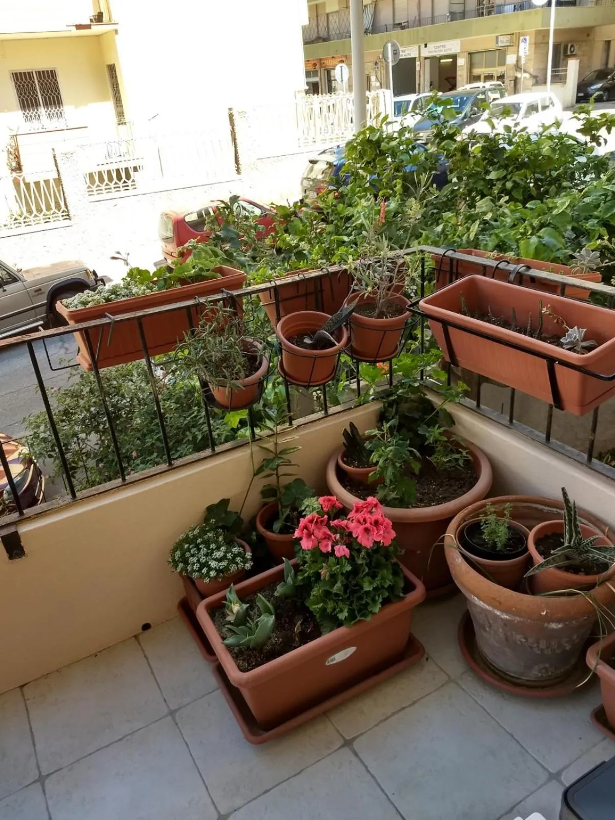 Balcony/Terrace in Su Murdegu