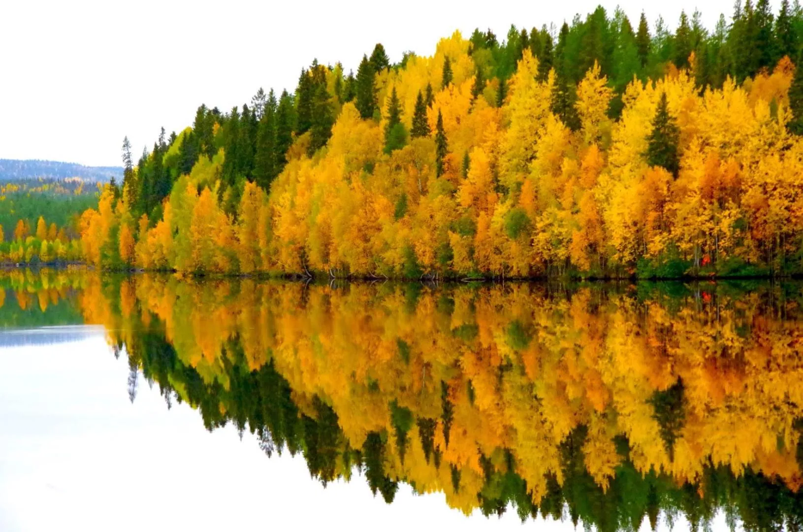 Off site in LAURI Historical Log House Manor