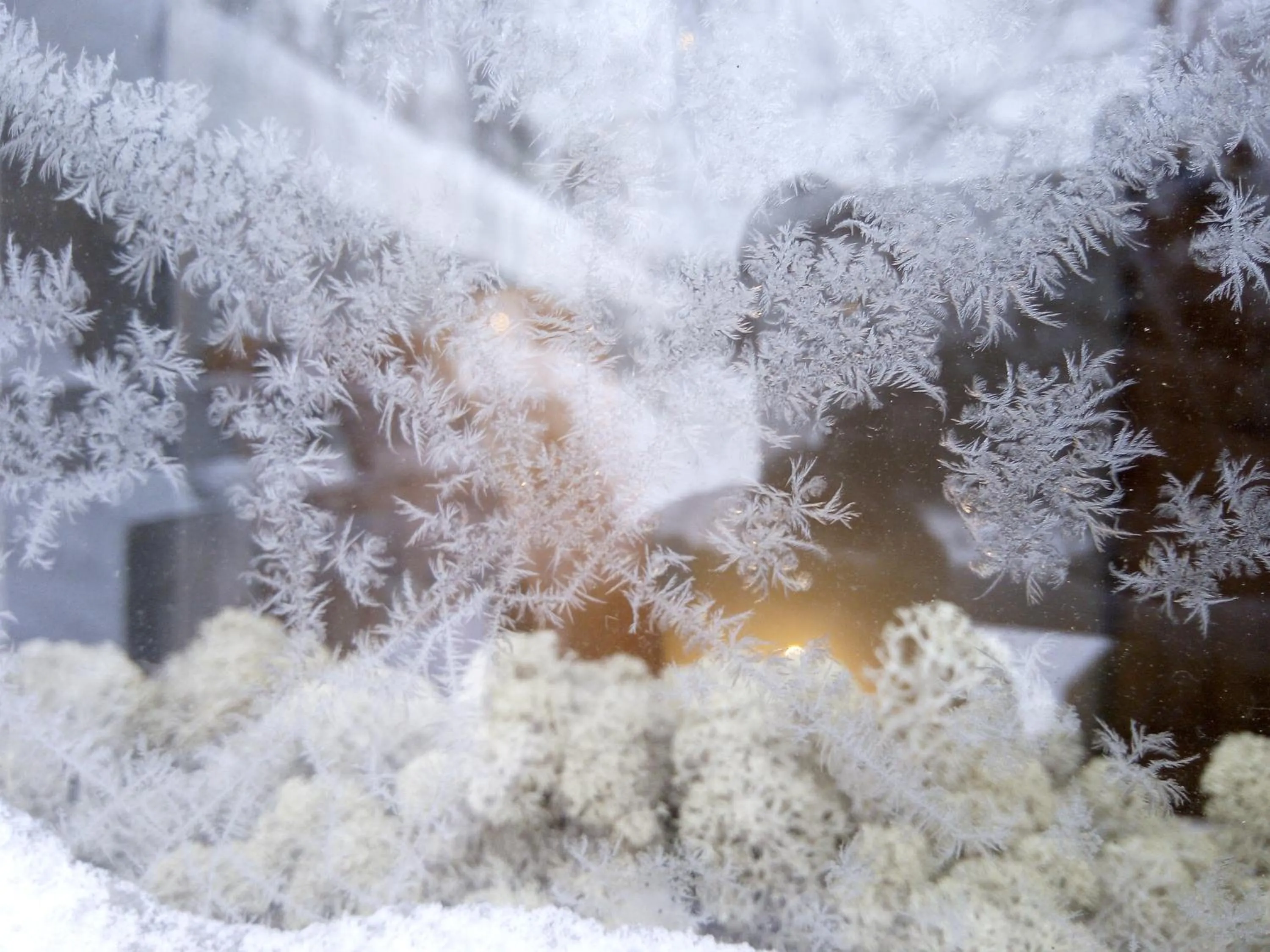 Winter in LAURI Historical Log House Manor