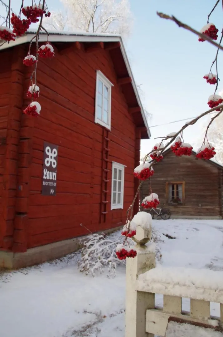 Property building in LAURI Historical Log House Manor