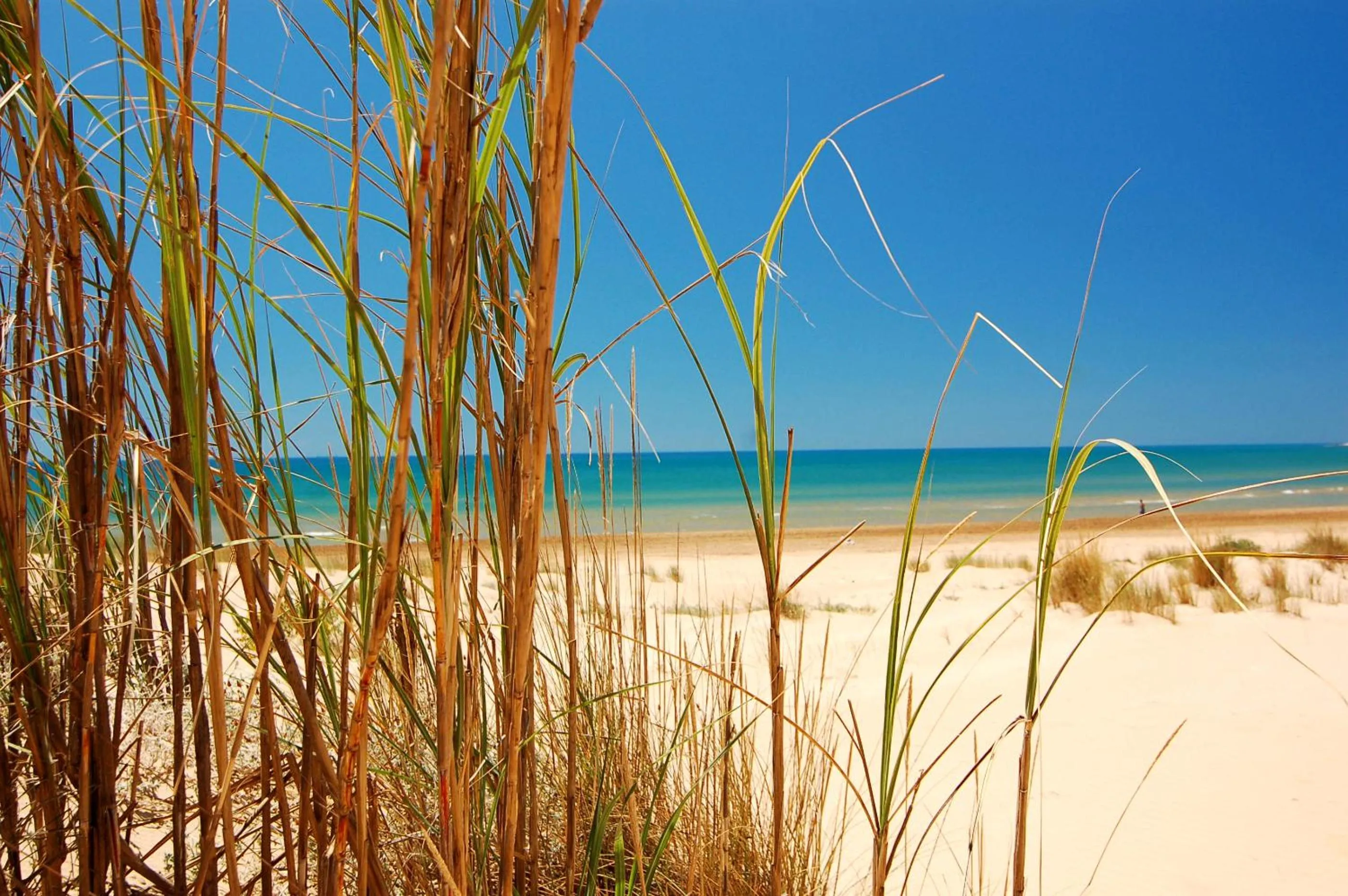 Area and facilities in Residence Casa Del Mar Sicilia