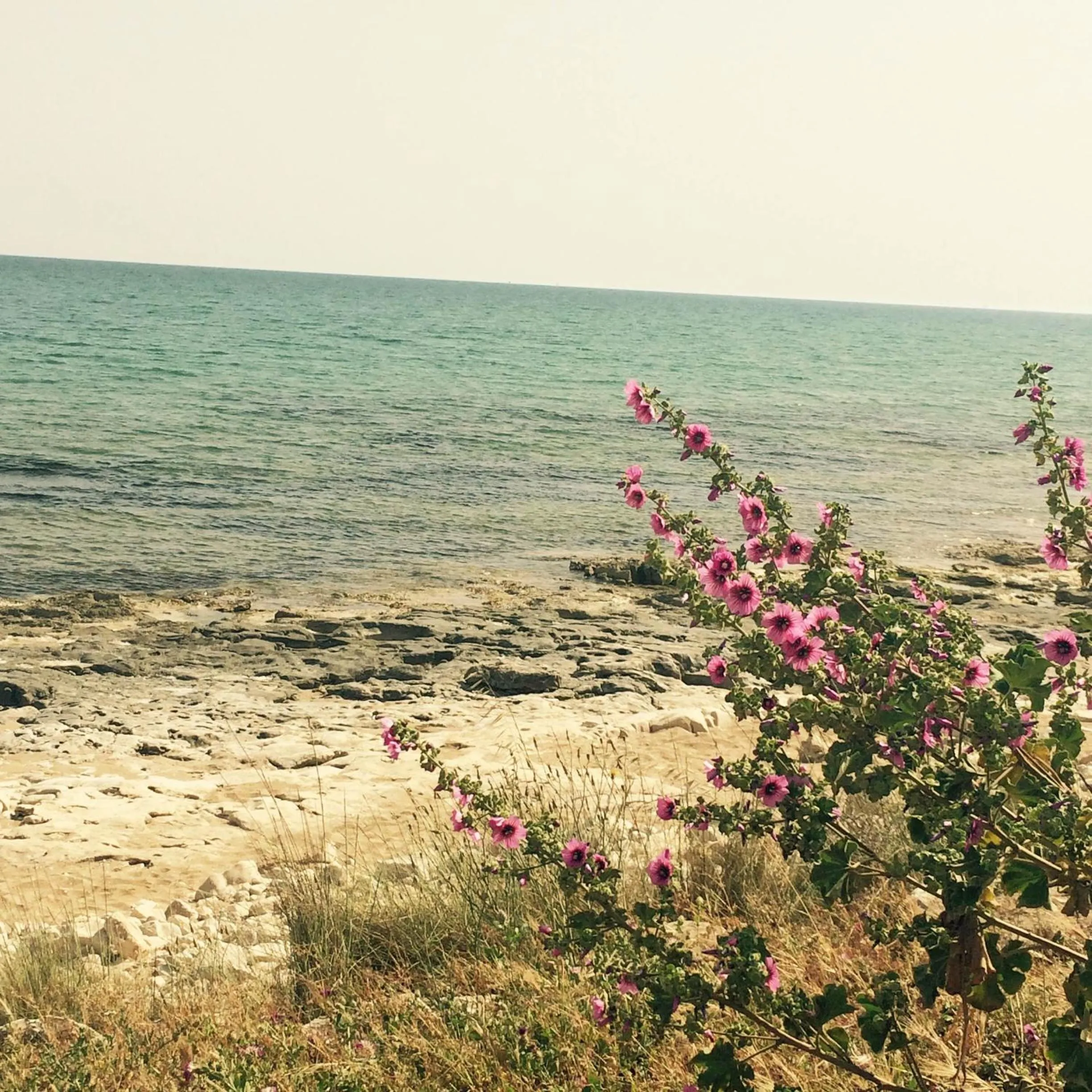 Day in Residence Casa Del Mar Sicilia