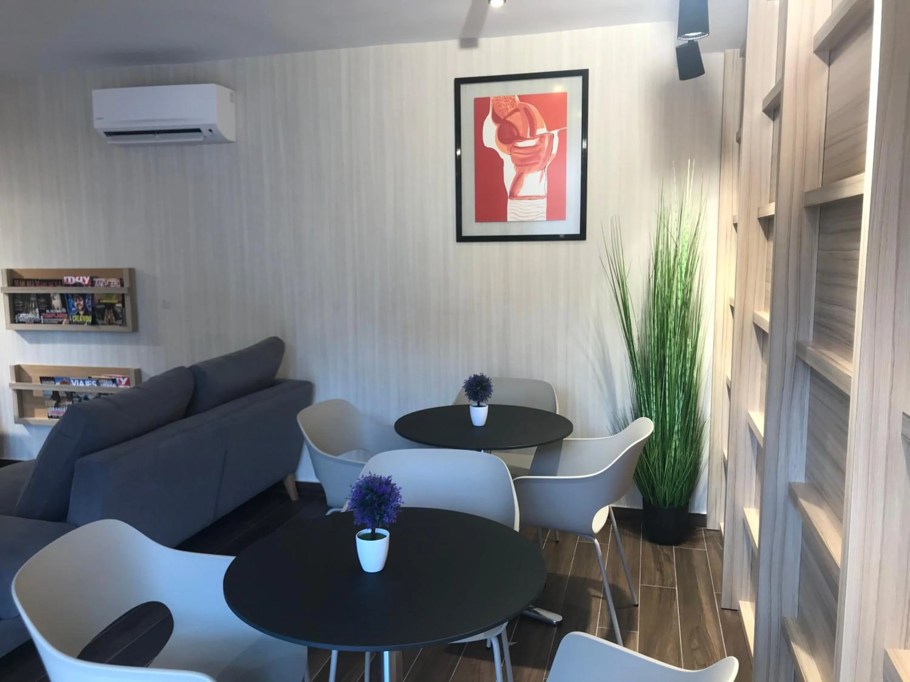 Library in Hotel Doña Blanca