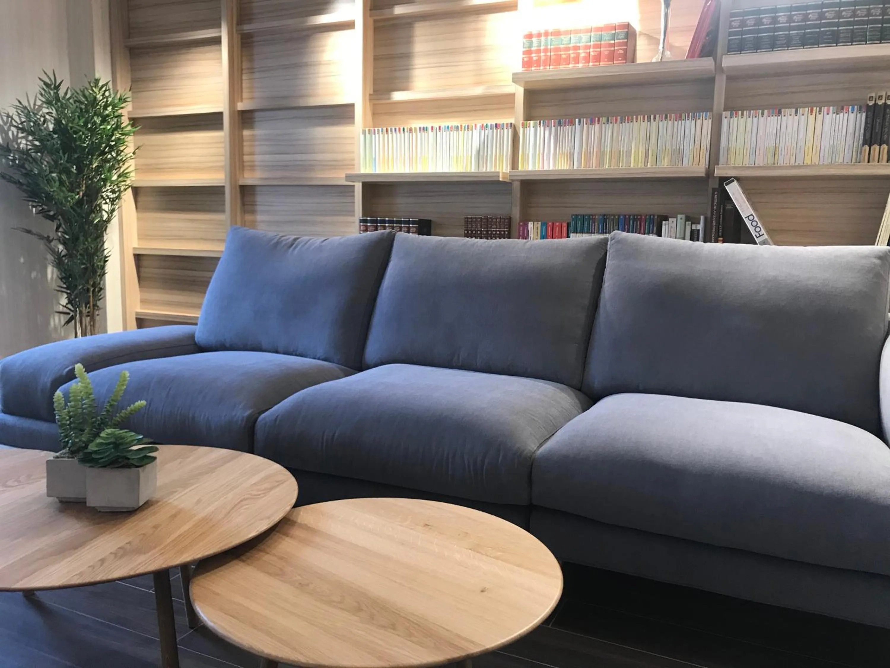 Library in Hotel Doña Blanca