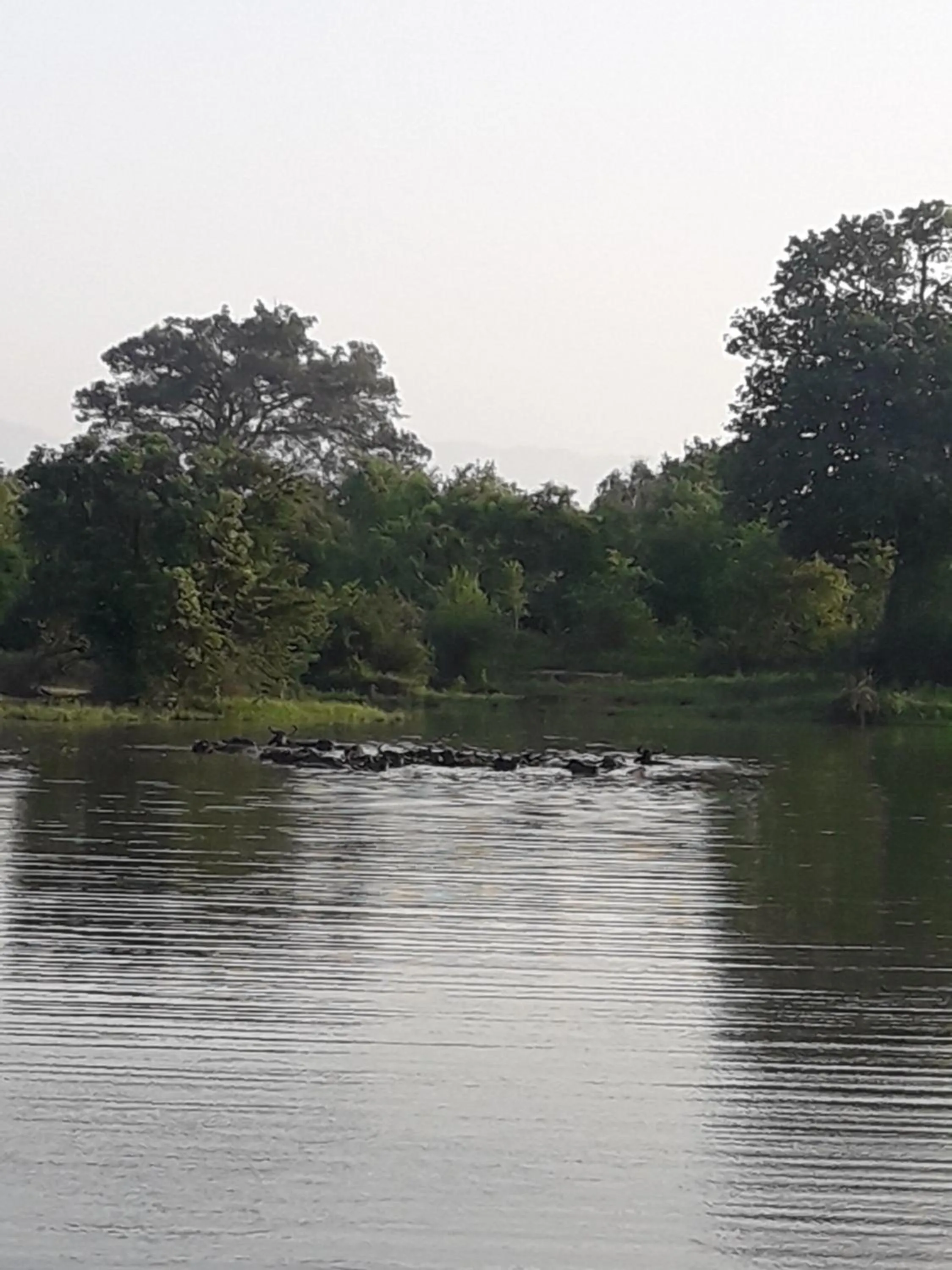 Off site in Vimanra Udawalawa