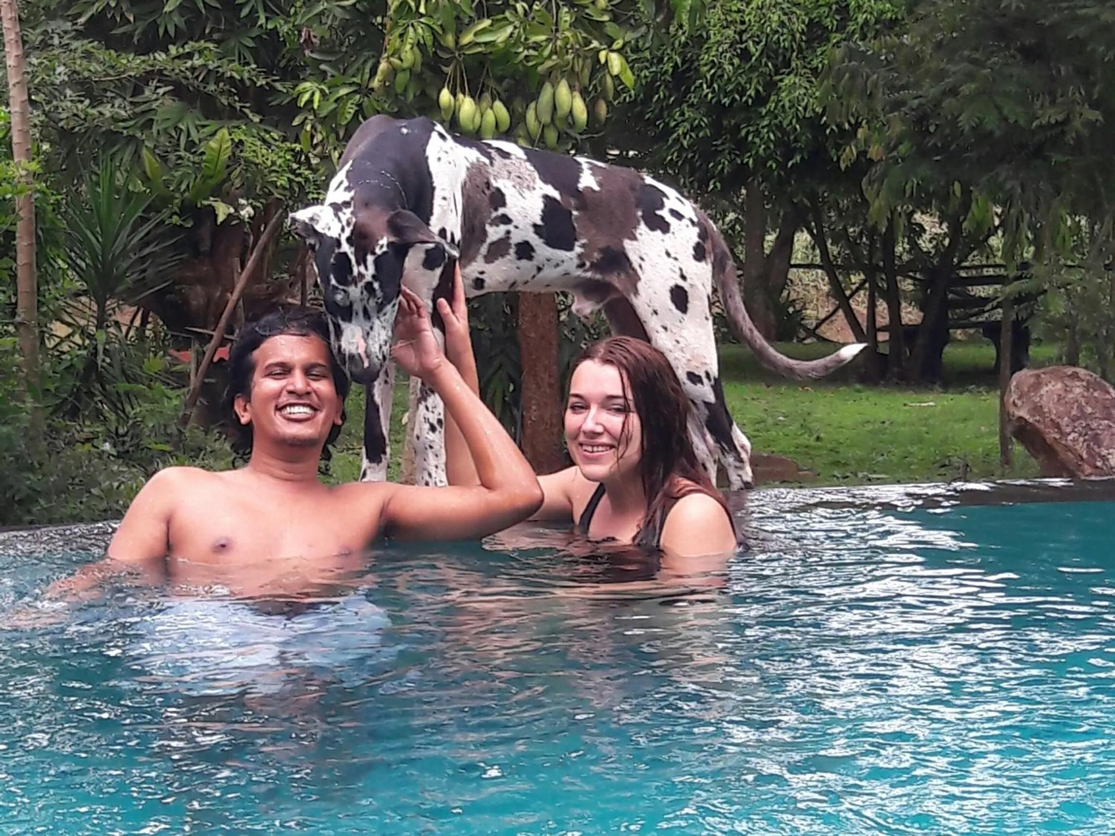 Swimming pool in Vimanra Udawalawa