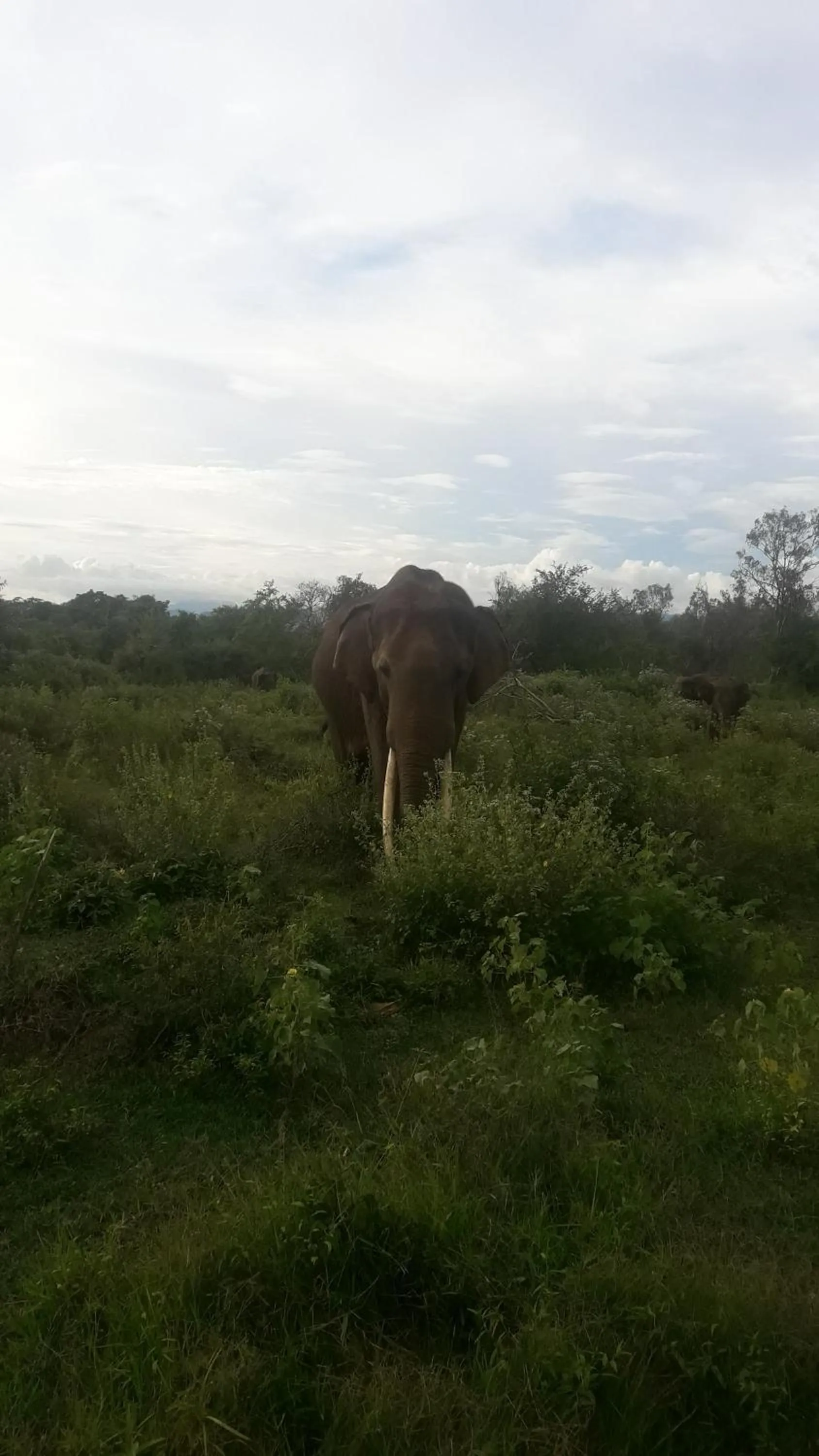 Off site in Vimanra Udawalawa
