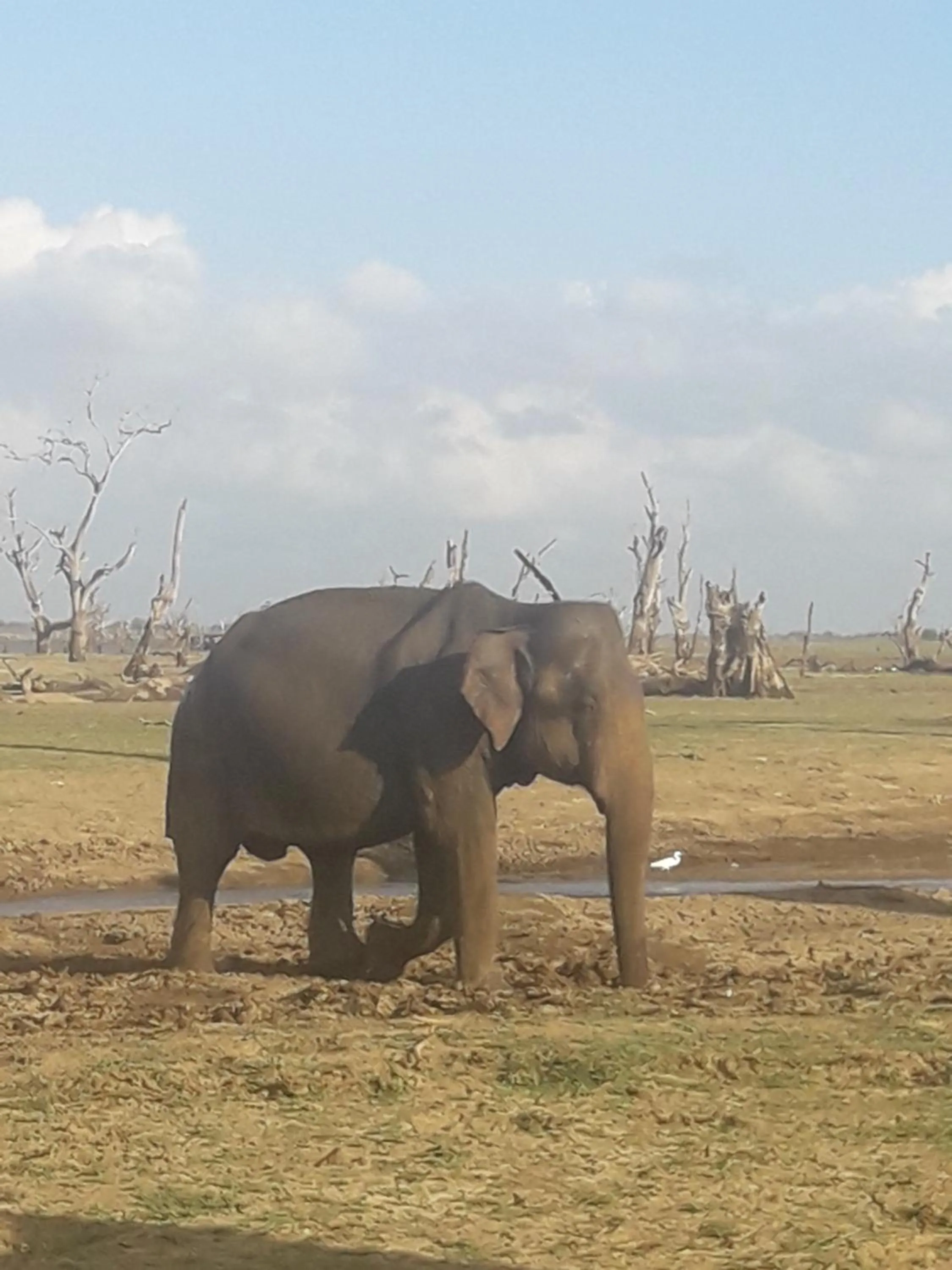 Off site in Vimanra Udawalawa