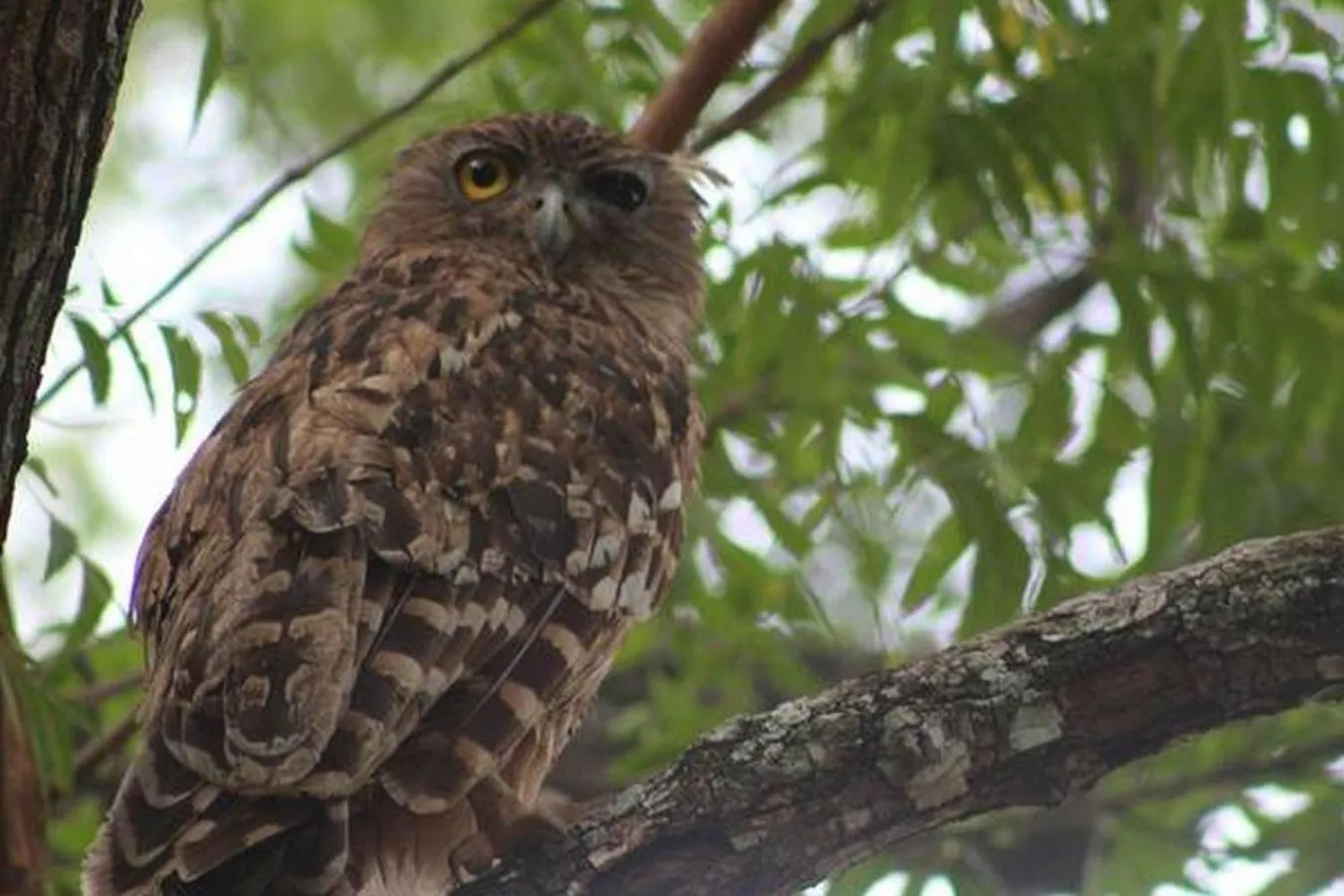 On site in Vimanra Udawalawa