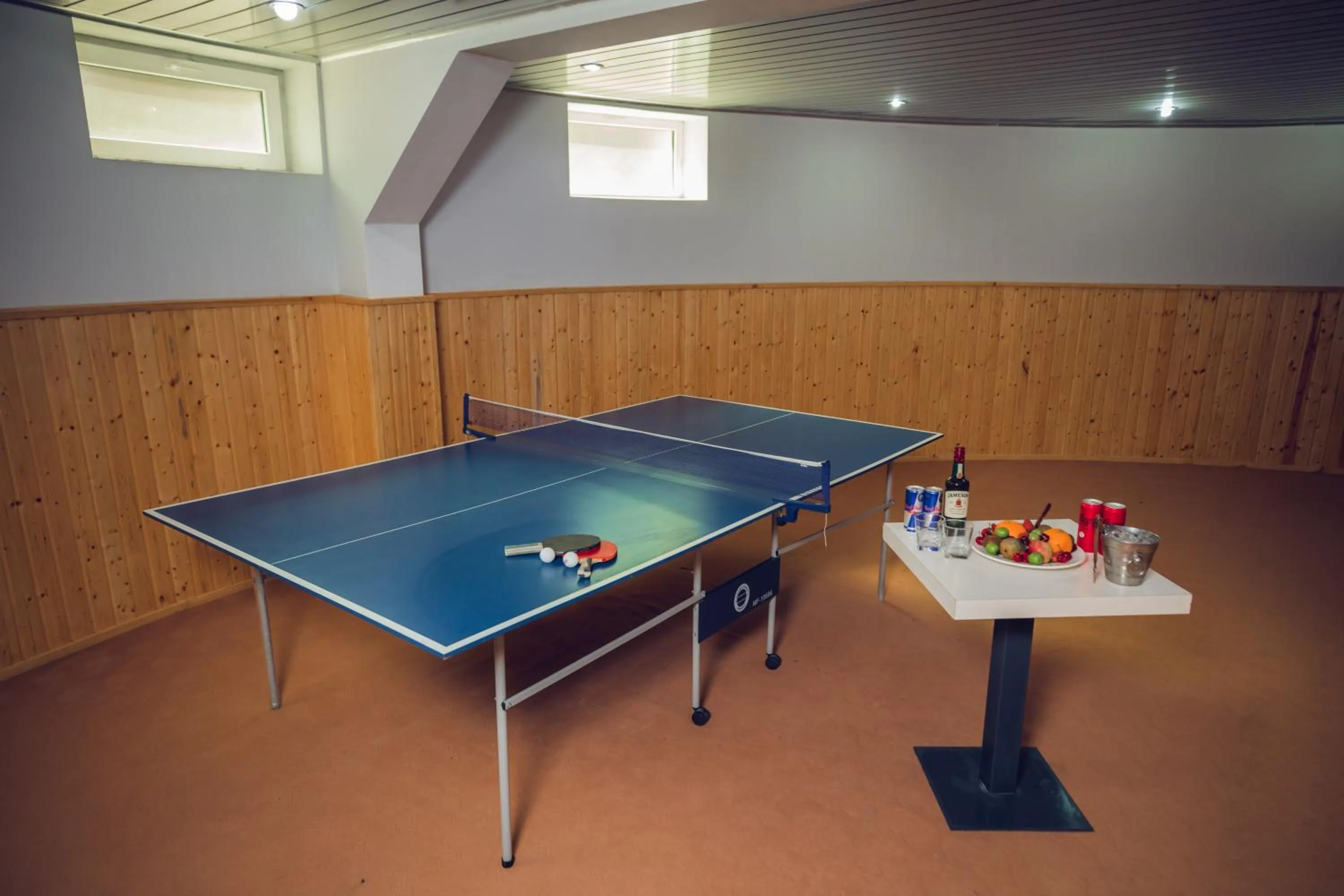 Game Room in Panorama Villa Lux Hotel