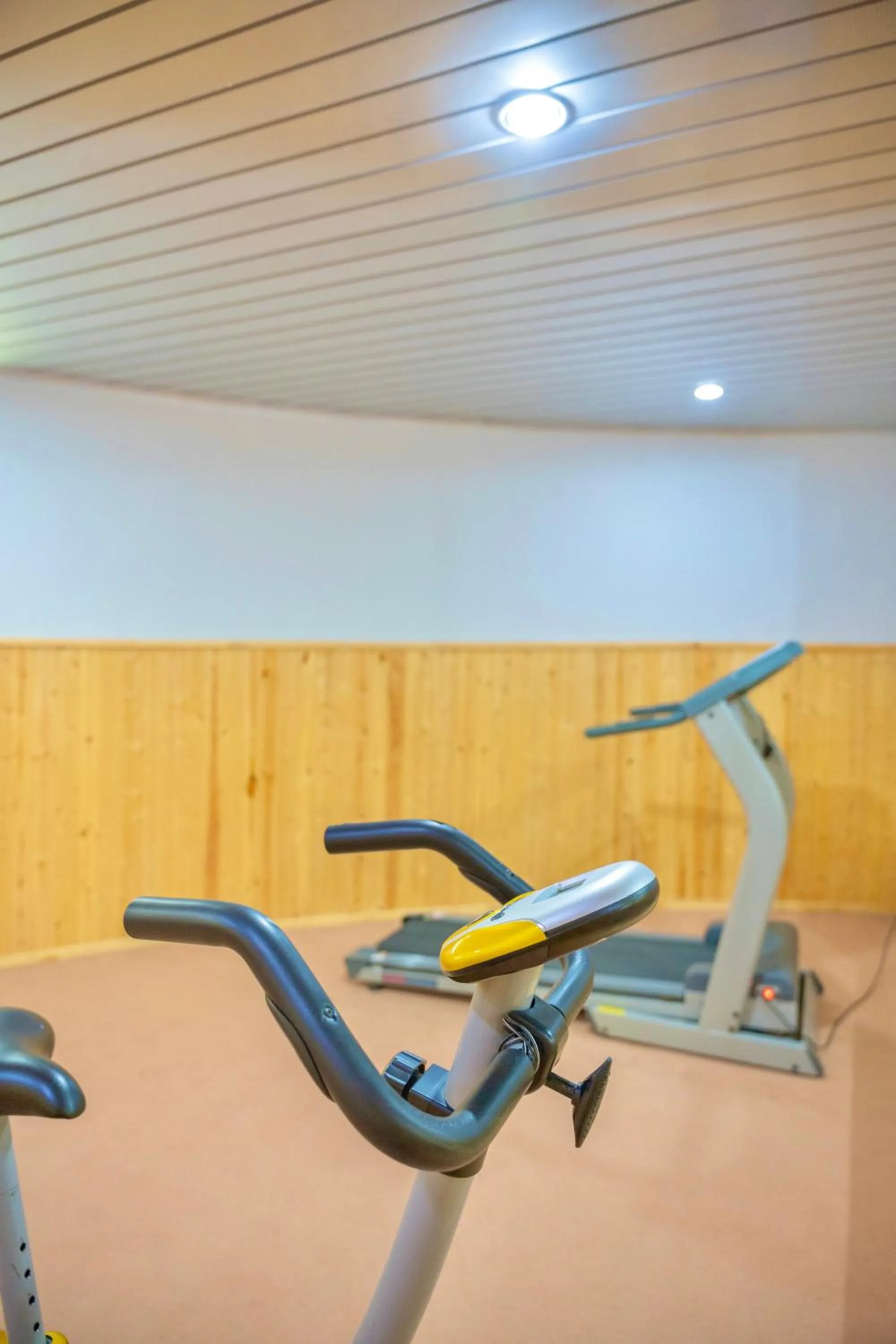 Fitness centre/facilities in Panorama Villa Lux Hotel