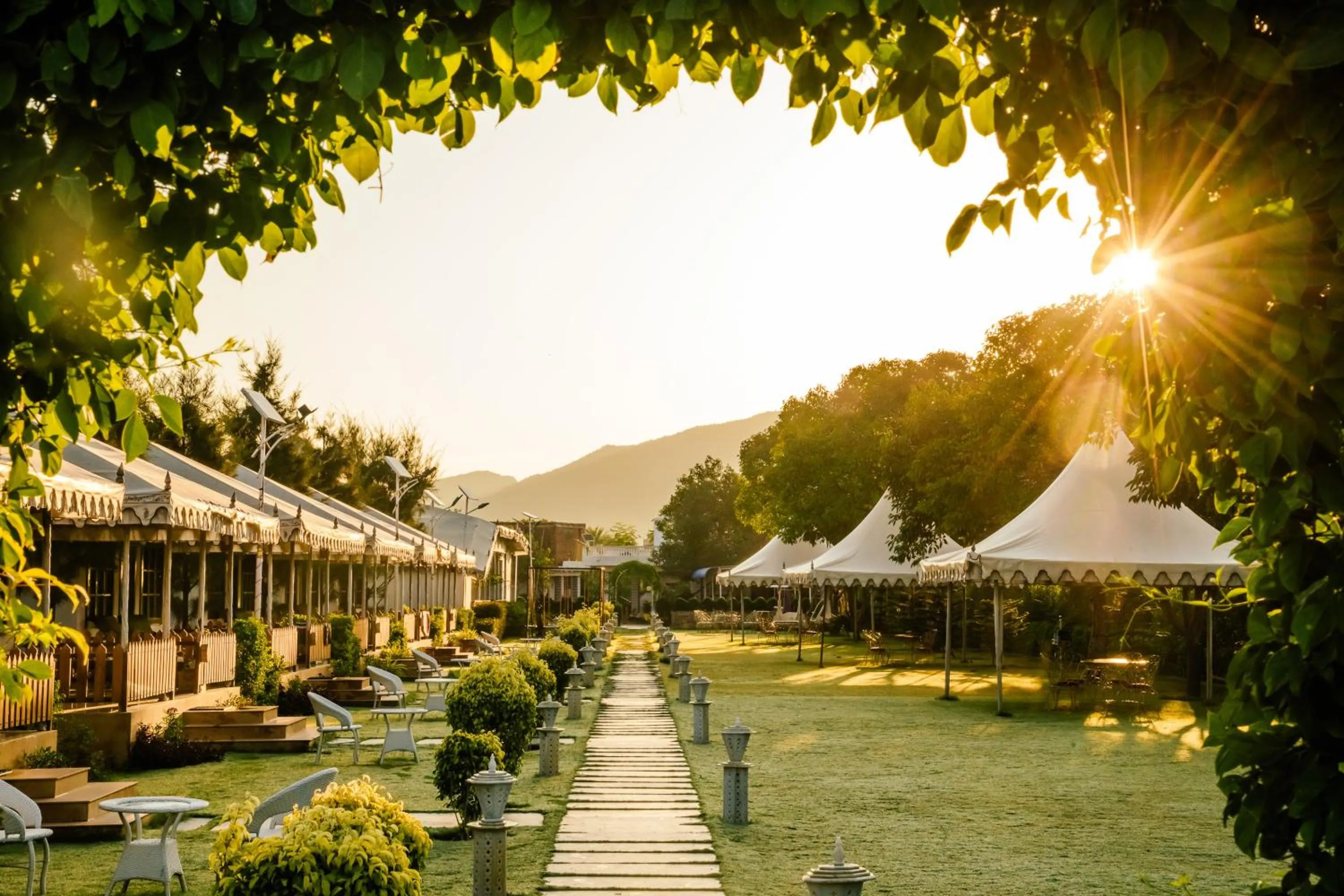 Garden in Rawai Luxury Tents Pushkar