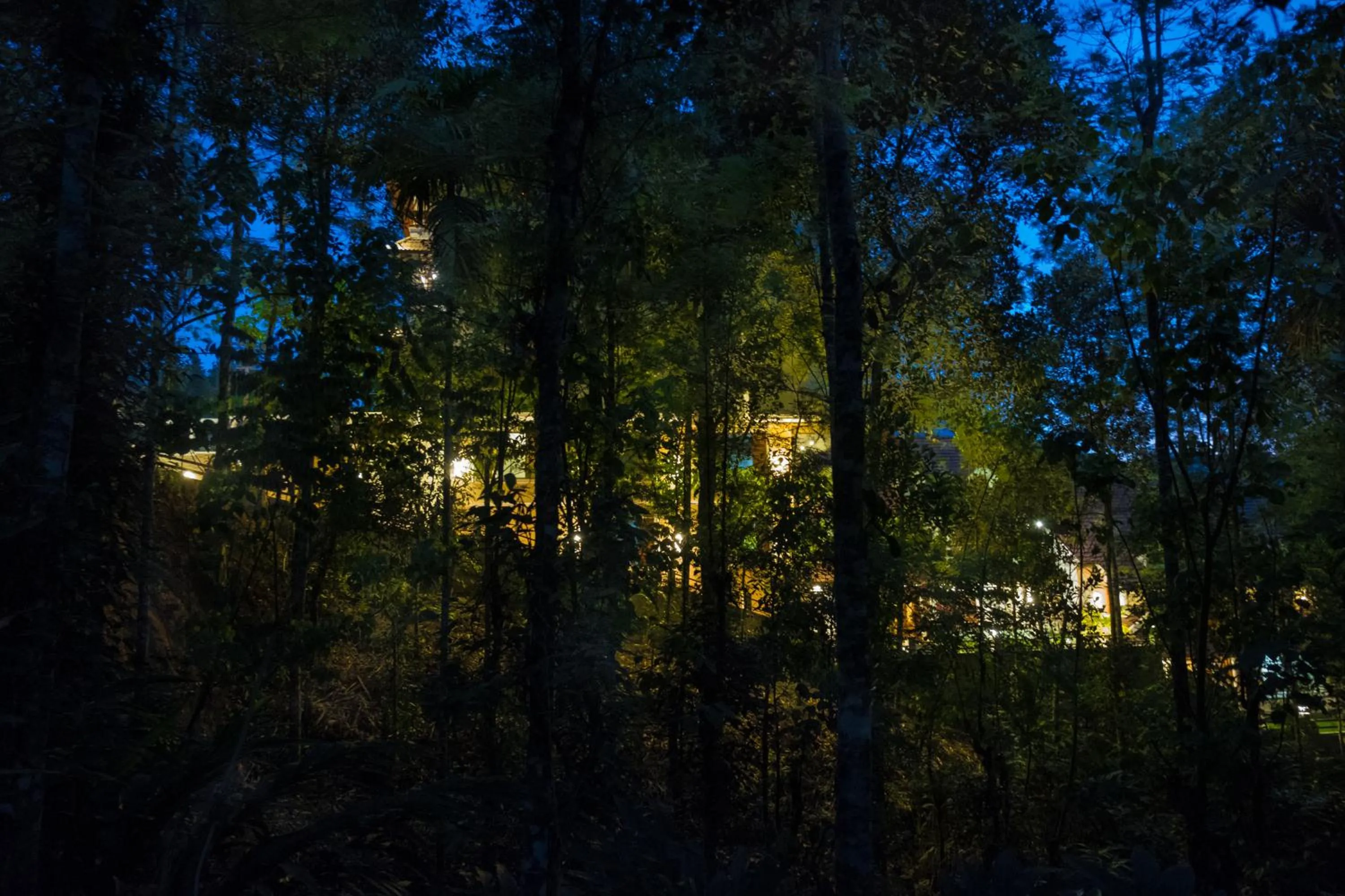 View (from property/room) in Crown Valley Thekkady