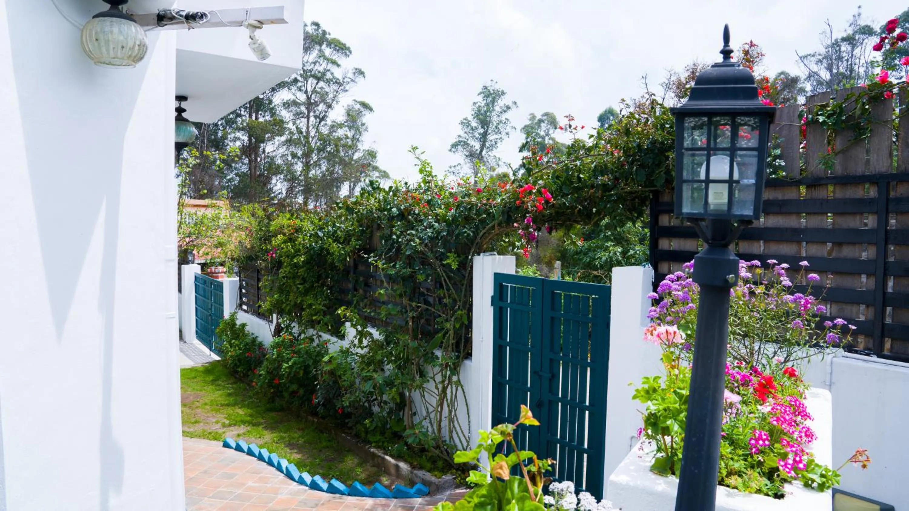 Hydrangea Villa