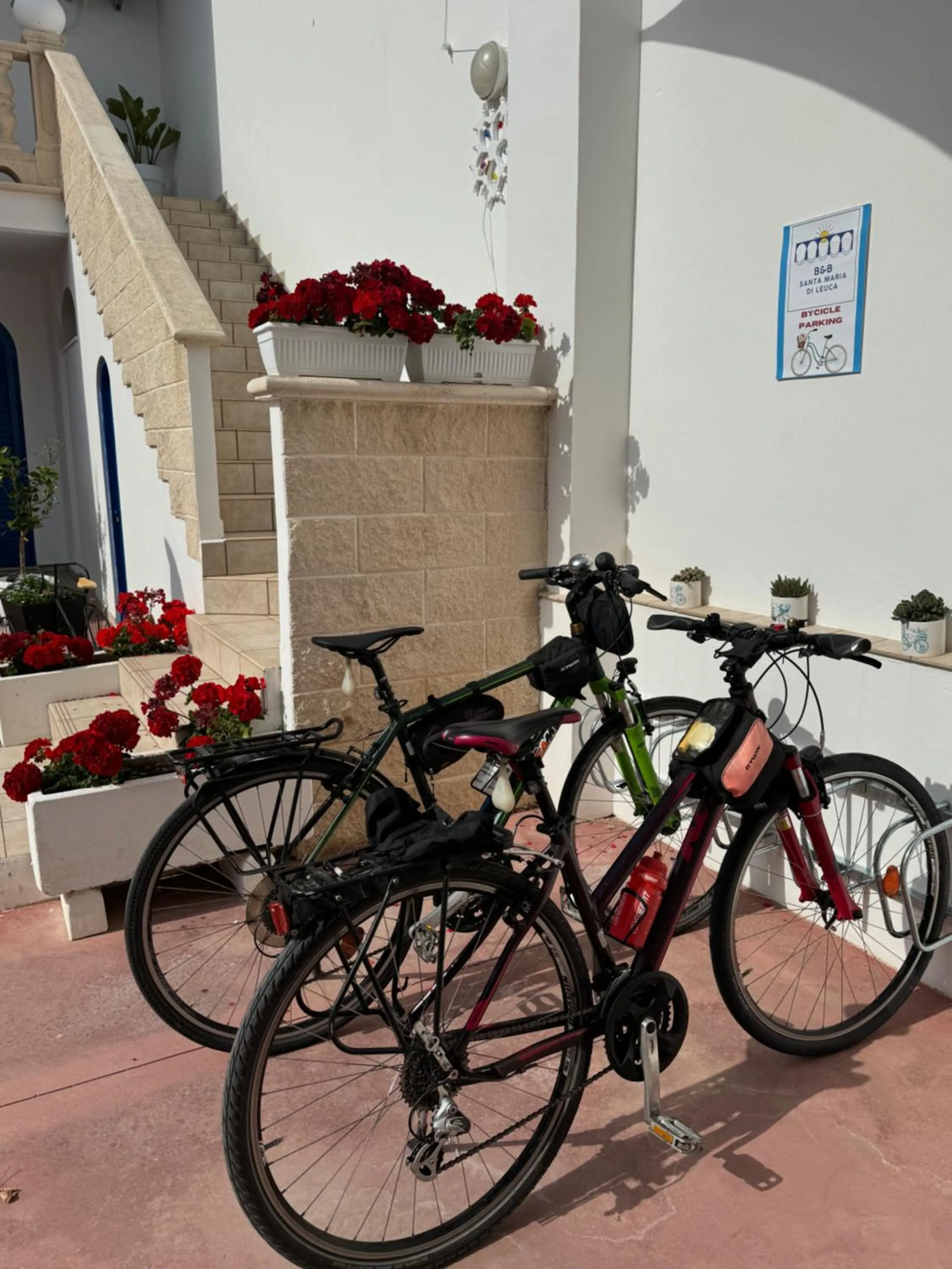 Cycling in B&B Santa Maria Di Leuca