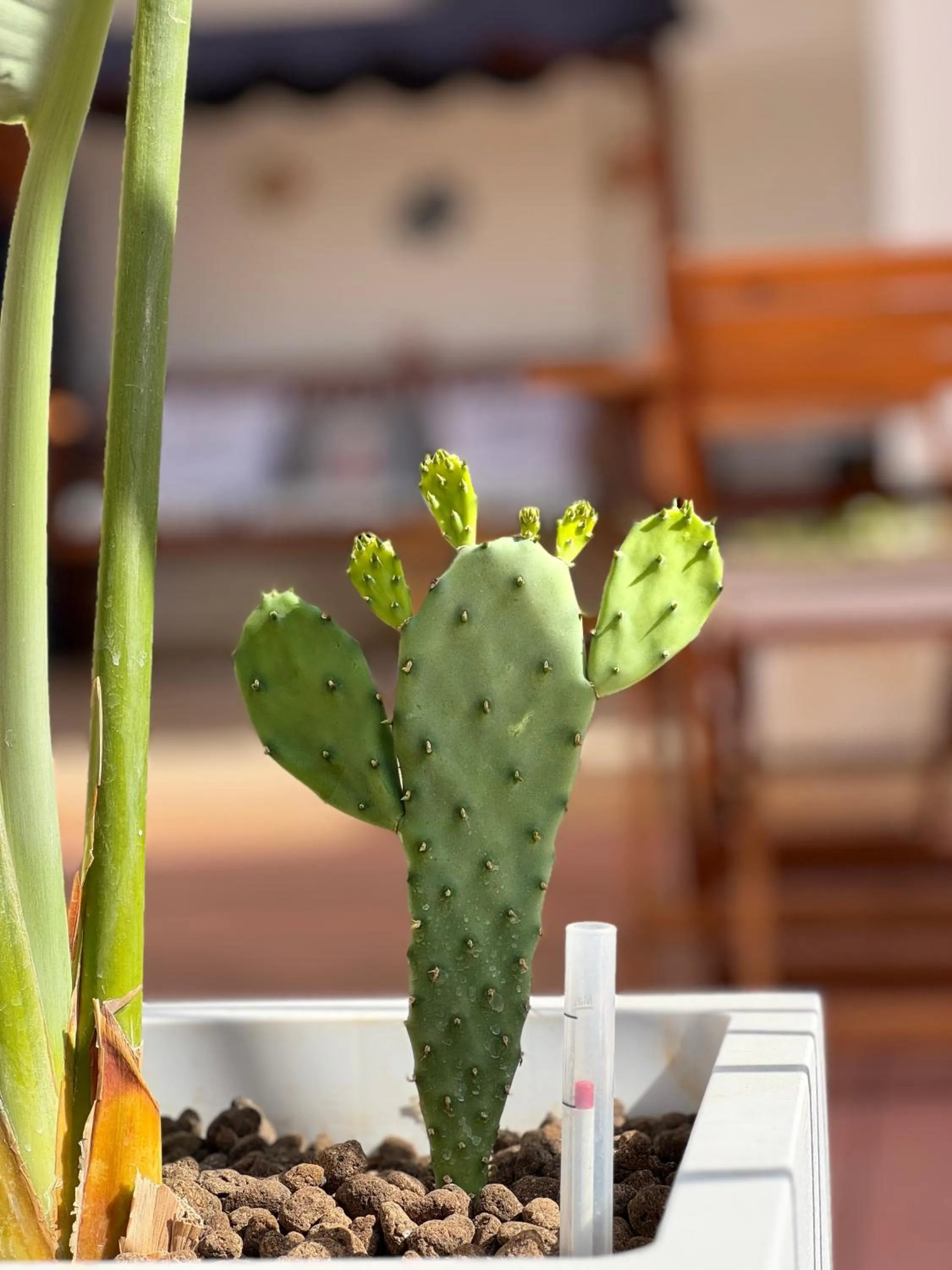 B&B Santa Maria Di Leuca