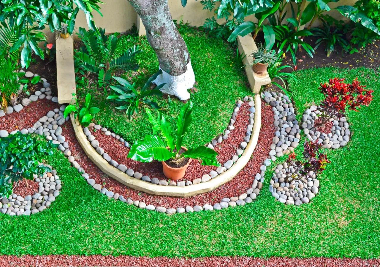 Garden in Casa Tropical