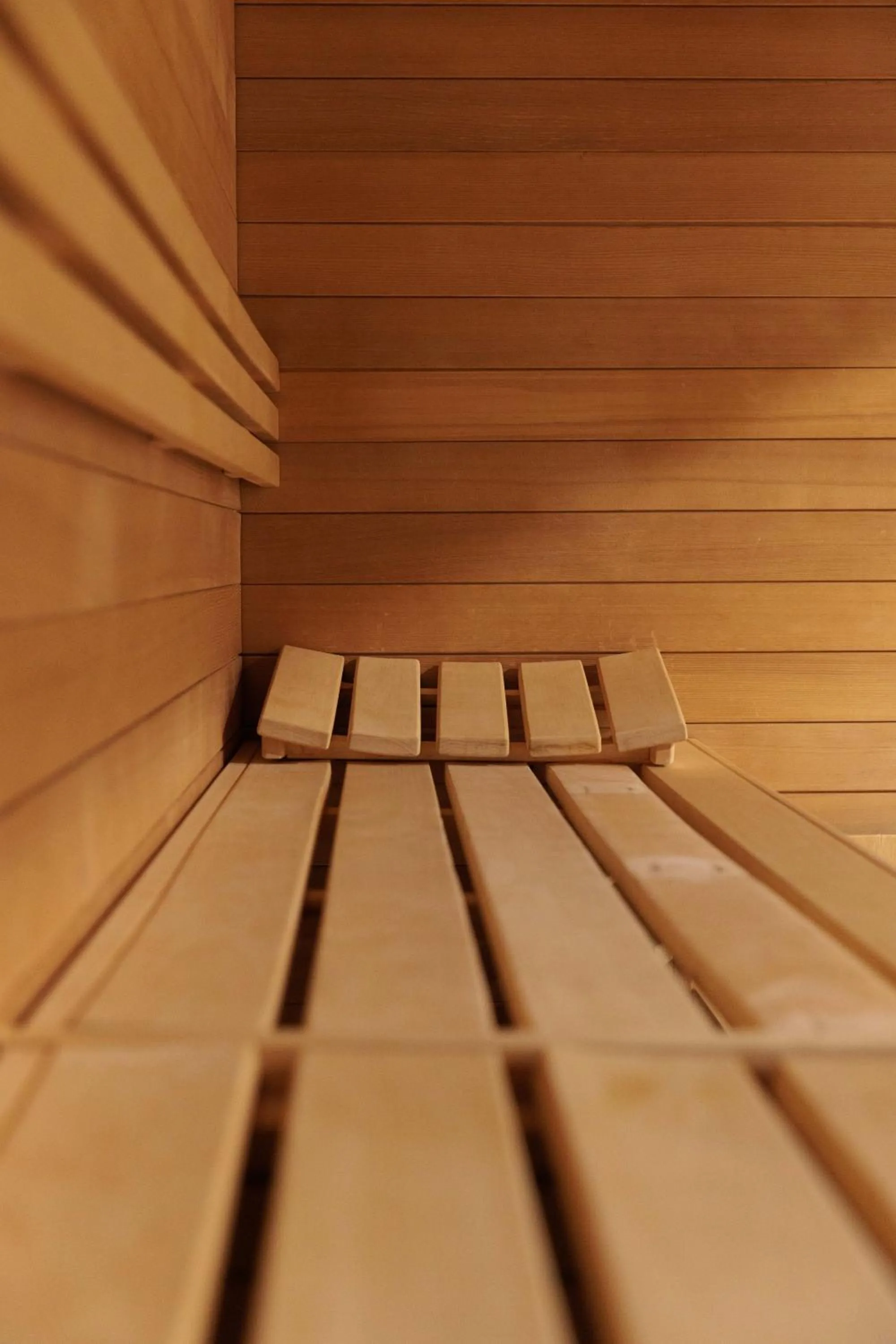 Sauna in Alpen Hotel Vidi