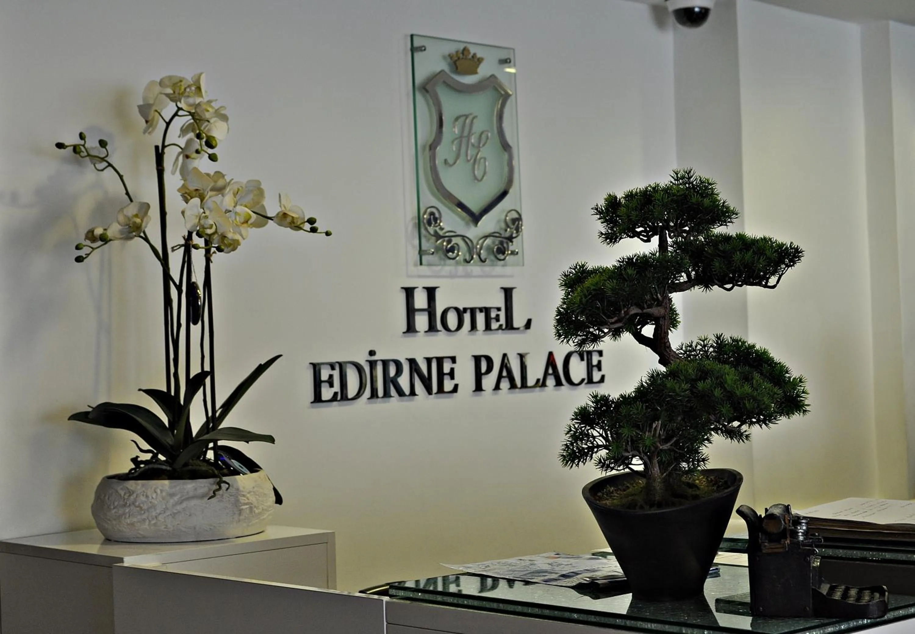 Lobby or reception in Hotel Edirne Palace